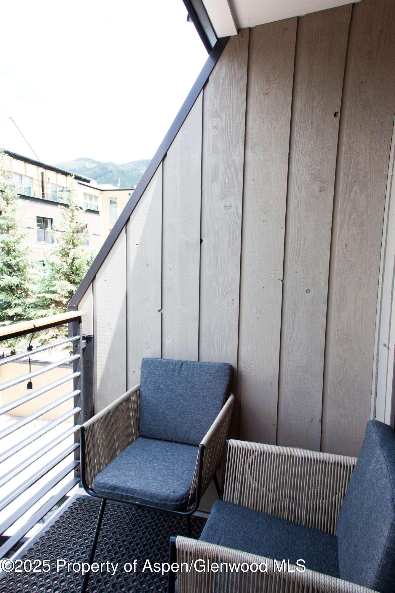 210 E Cooper Avenue Aspen CO 81611