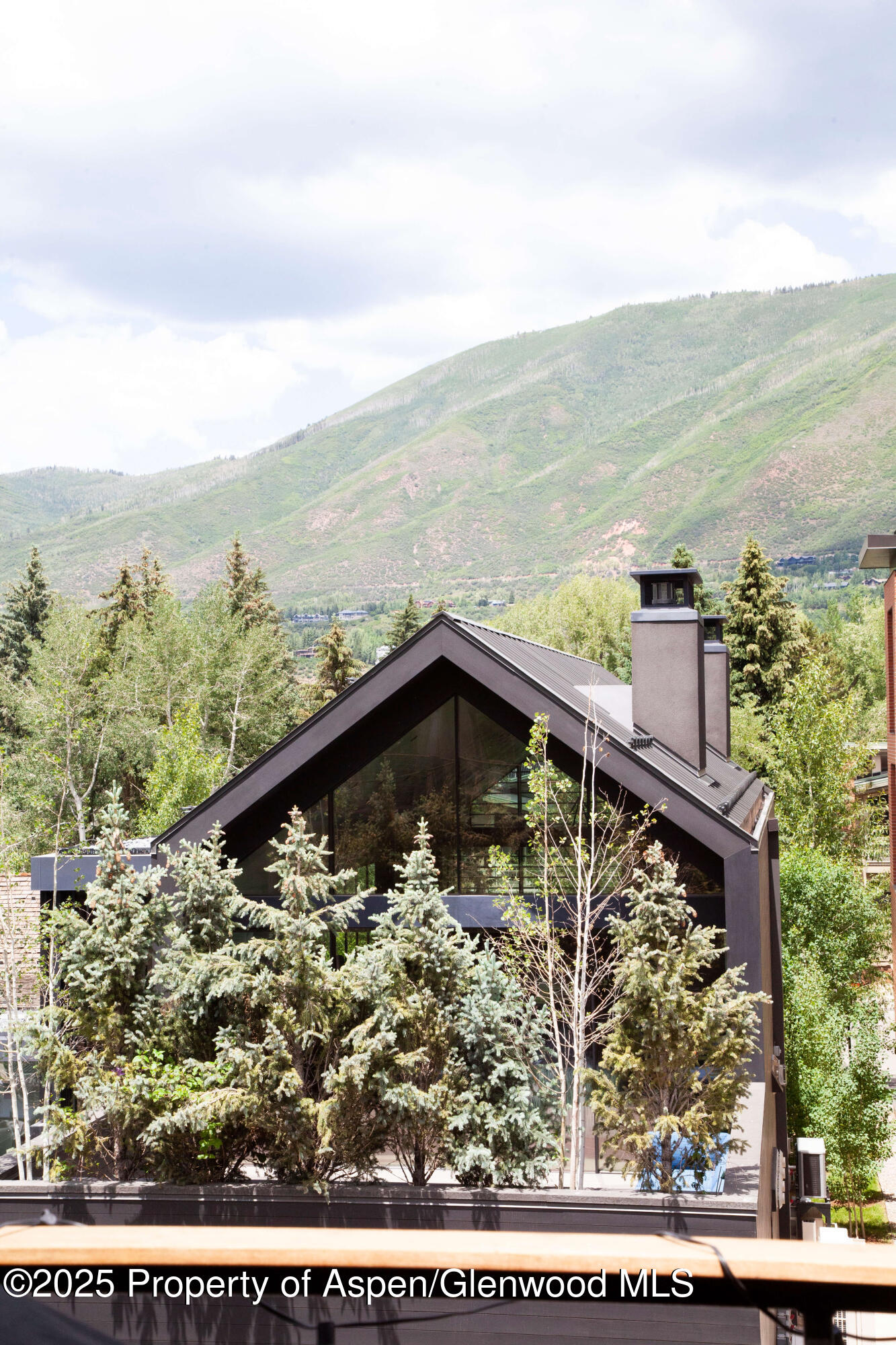 210 E Cooper Avenue Aspen CO 81611