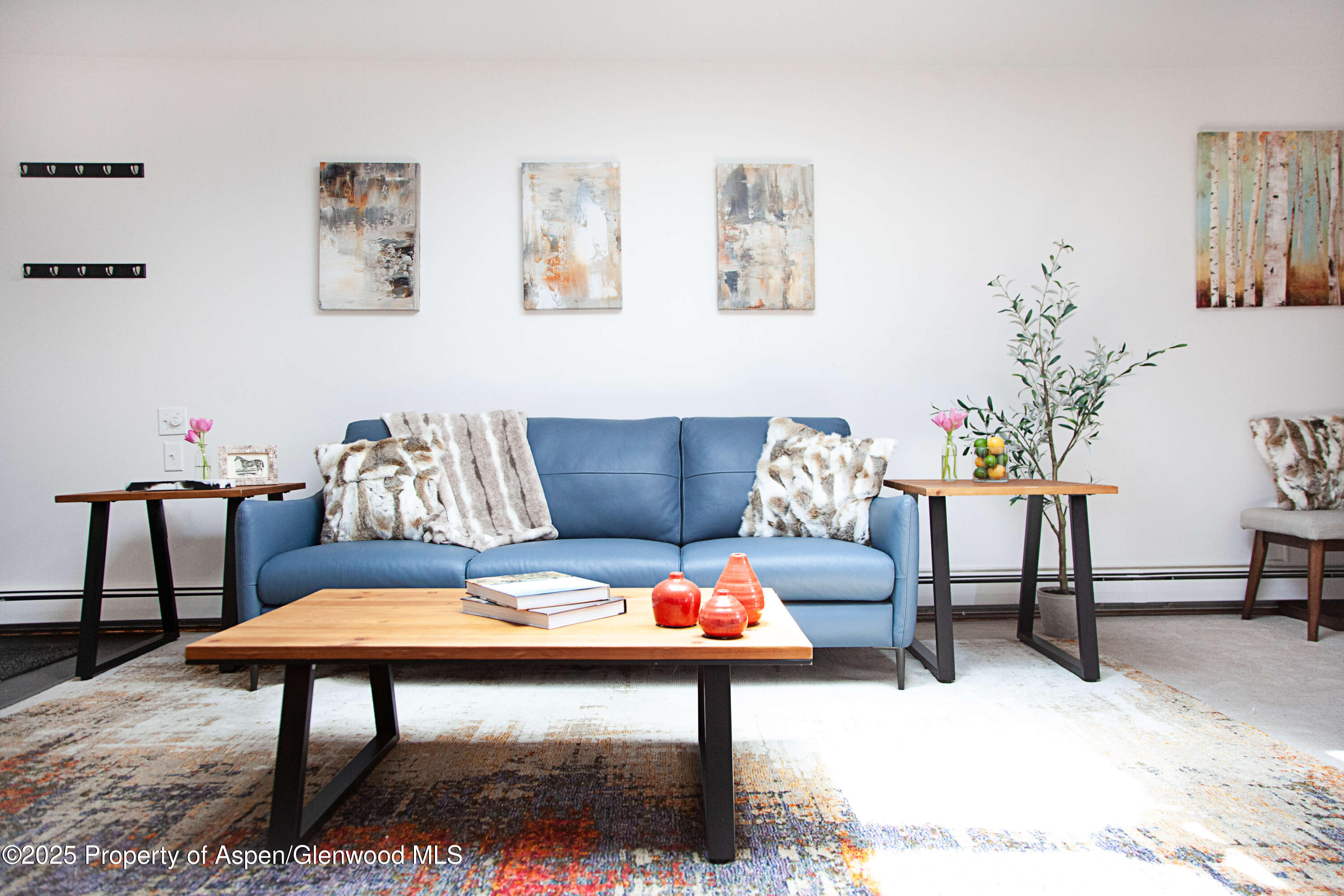 210 E Cooper Avenue Aspen CO 81611