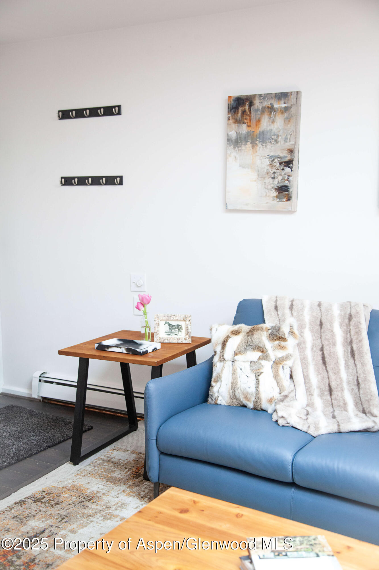 210 E Cooper Avenue Aspen CO 81611