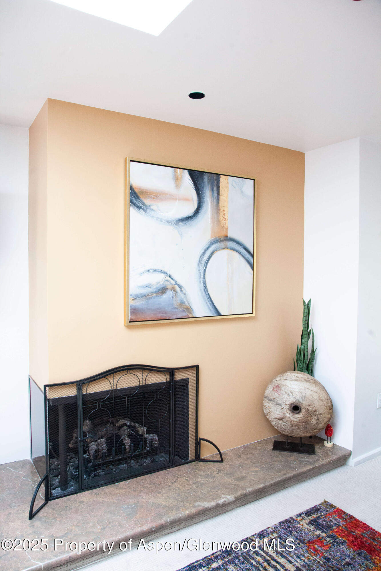 210 E Cooper Avenue Aspen CO 81611