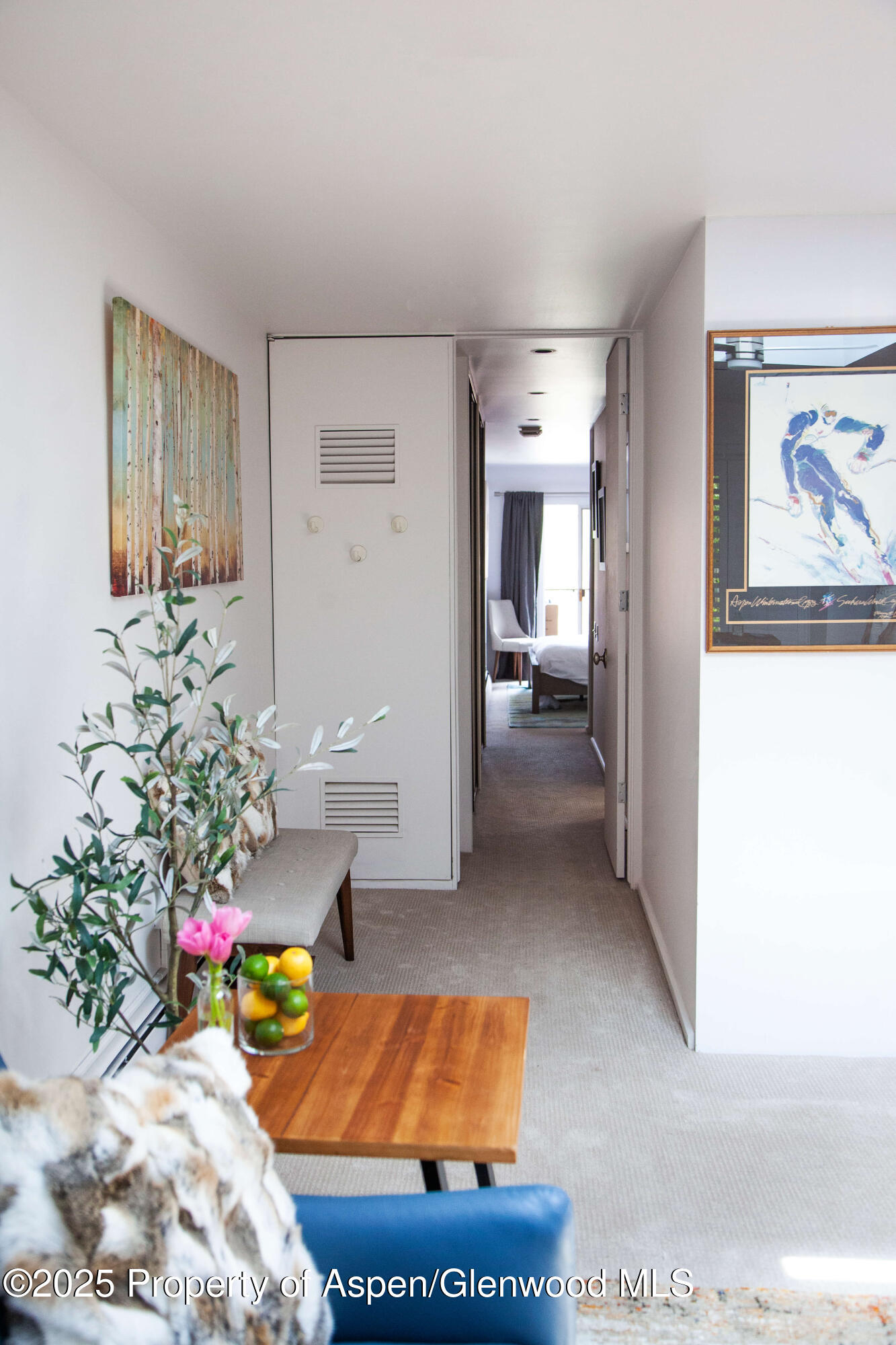 210 E Cooper Avenue Aspen CO 81611