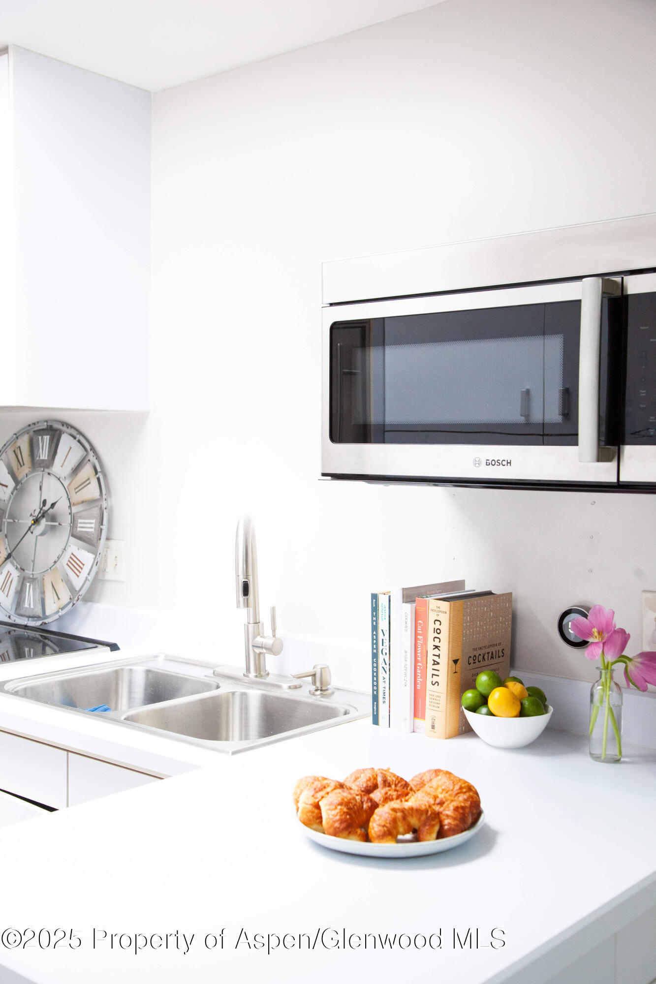 210 E Cooper Avenue Aspen CO 81611