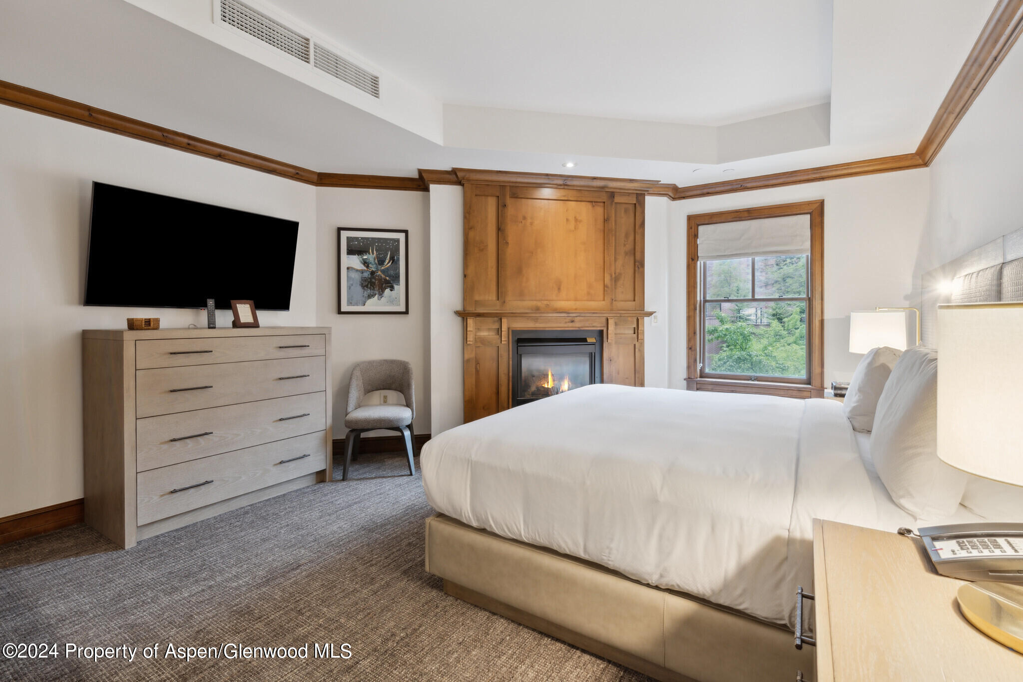 415 E Dean St, Unit 22, Week 6 Aspen CO 81611