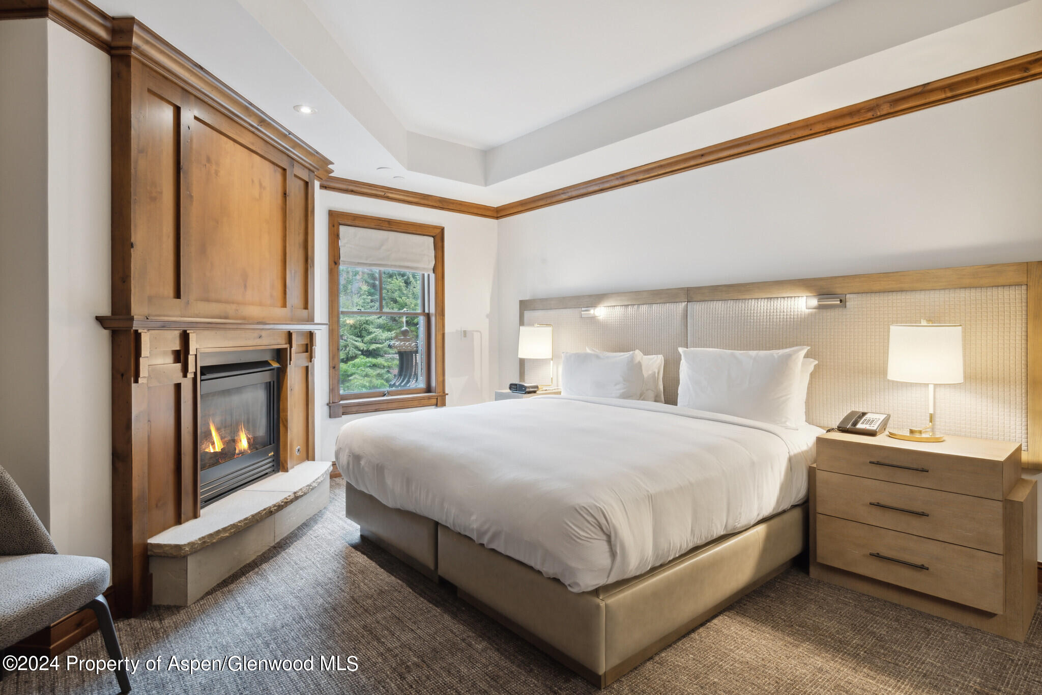 415 E Dean St, Unit 22, Week 6 Aspen CO 81611