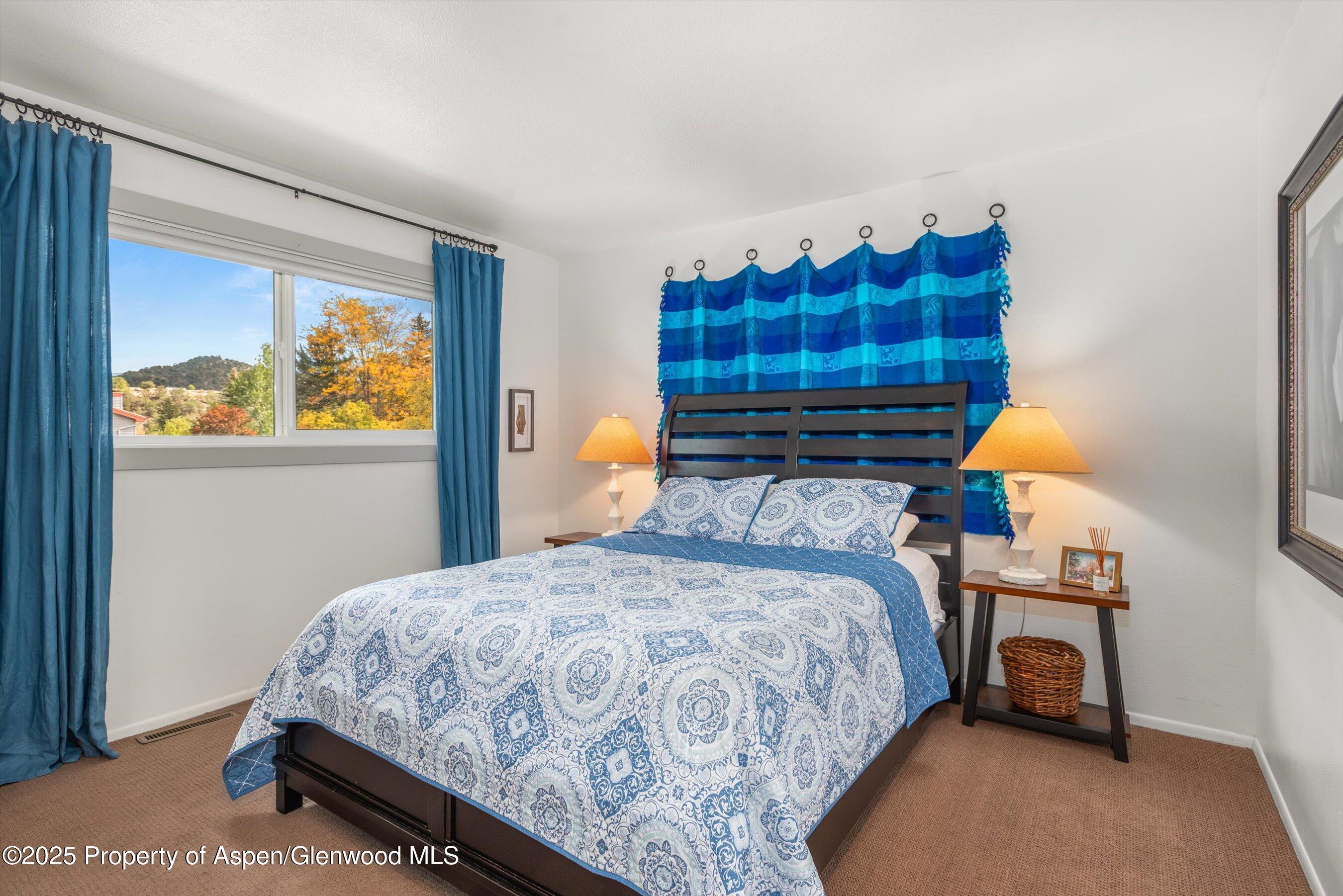 621 S 2nd Street Carbondale CO 81623