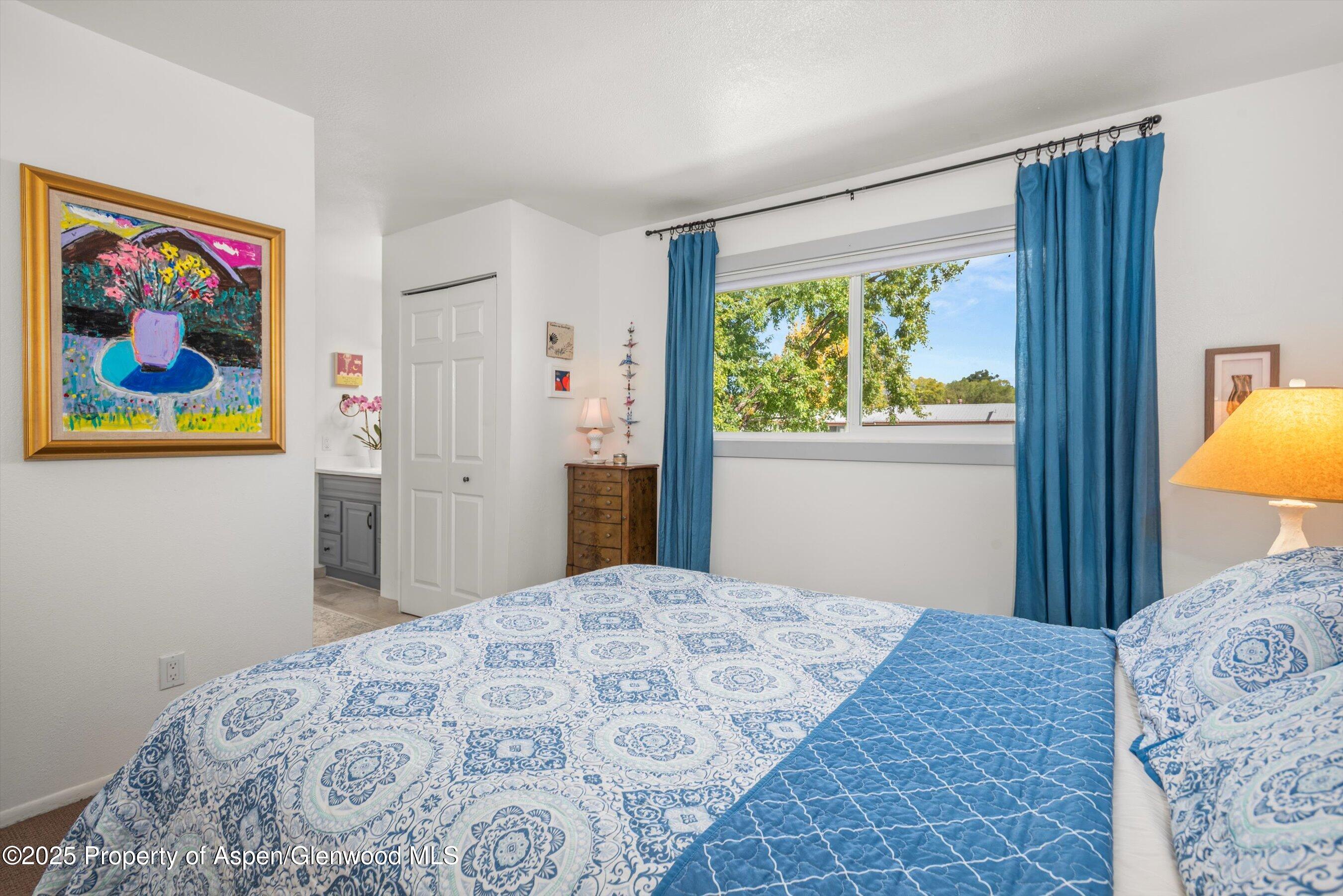 621 S 2nd Street Carbondale CO 81623