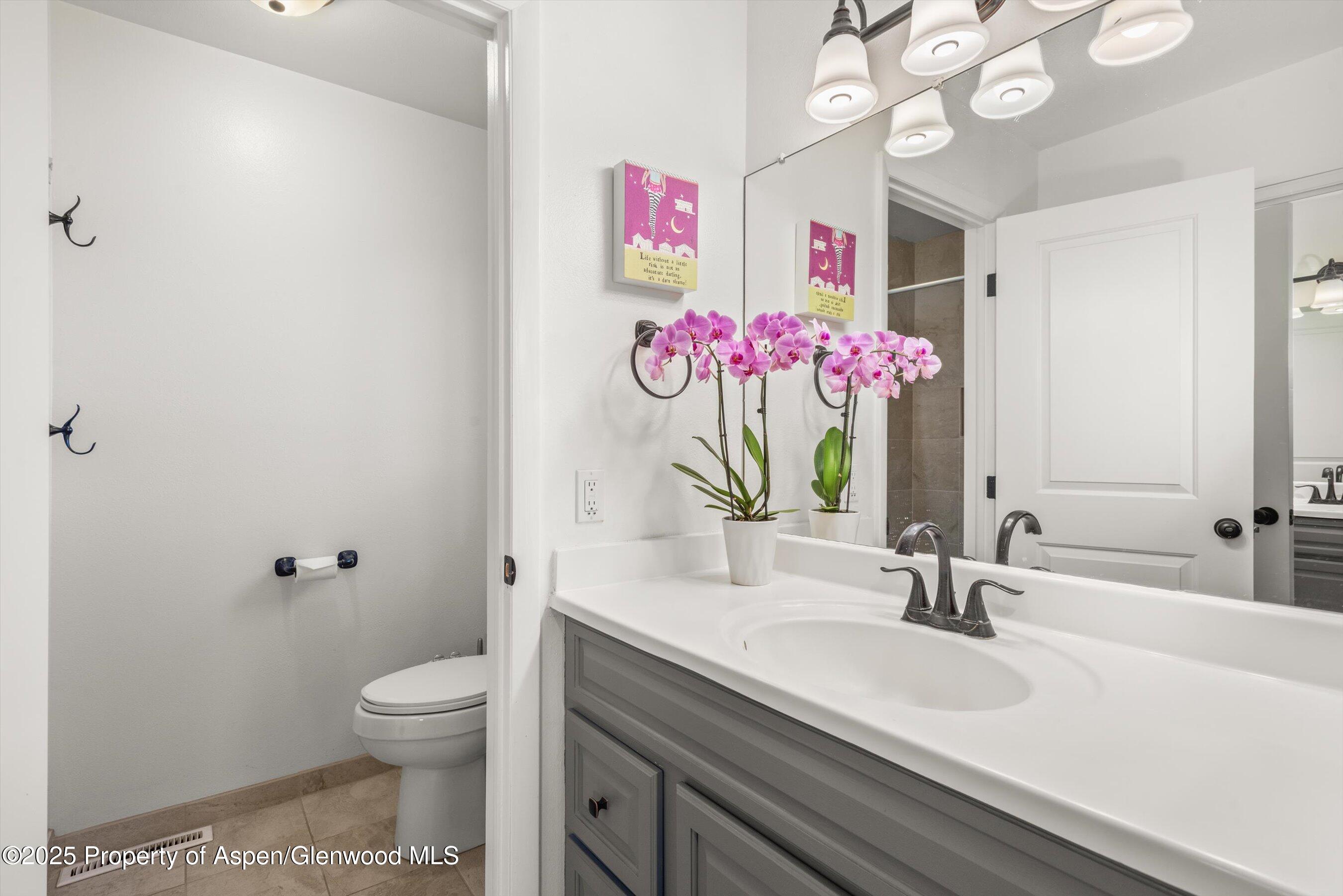 621 S 2nd Street Carbondale CO 81623