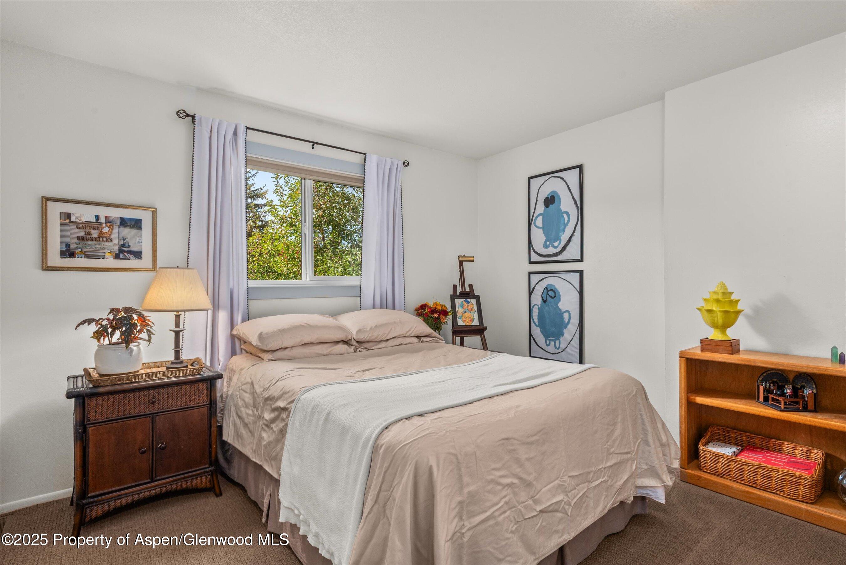 621 S 2nd Street Carbondale CO 81623