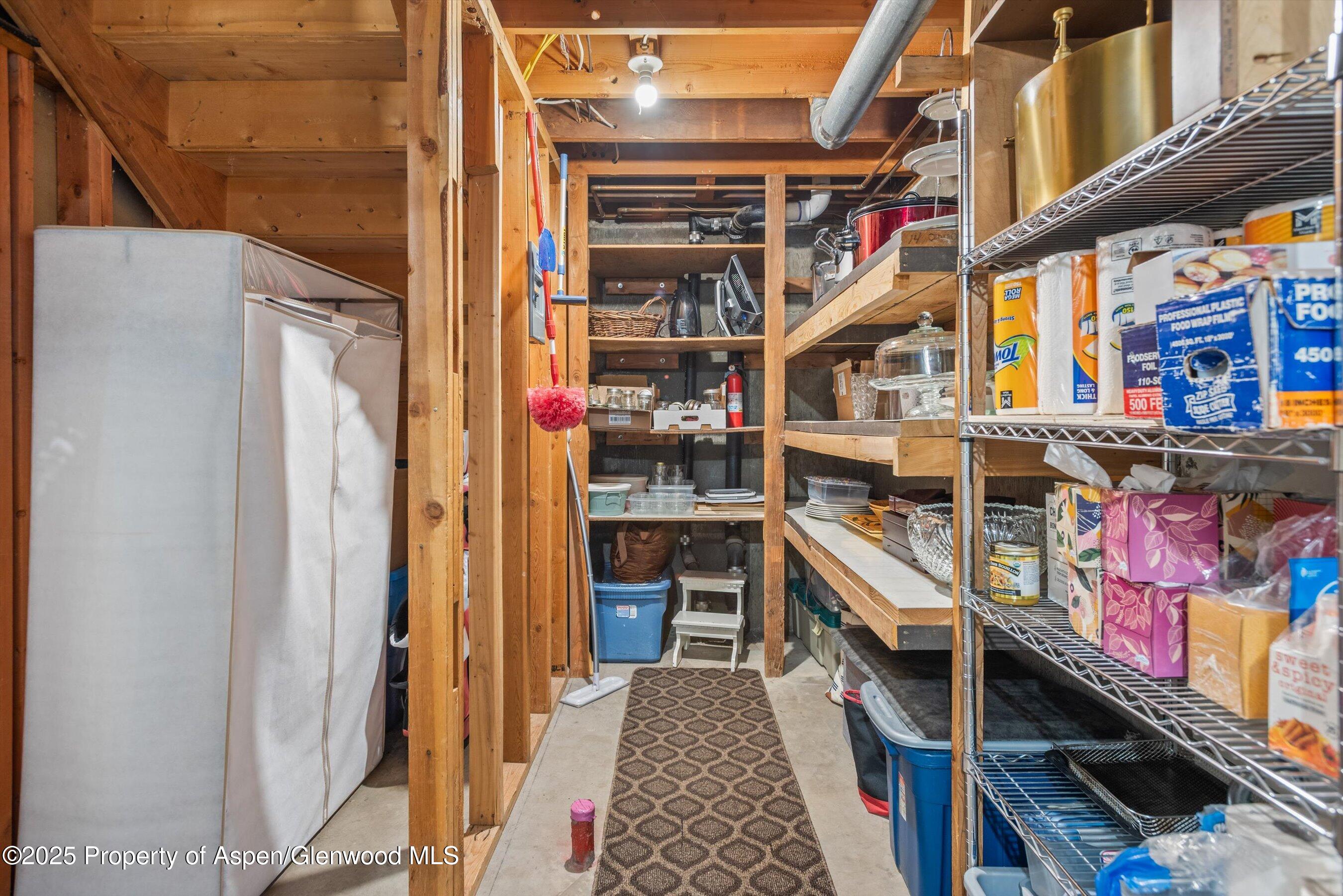 621 S 2nd Street Carbondale CO 81623