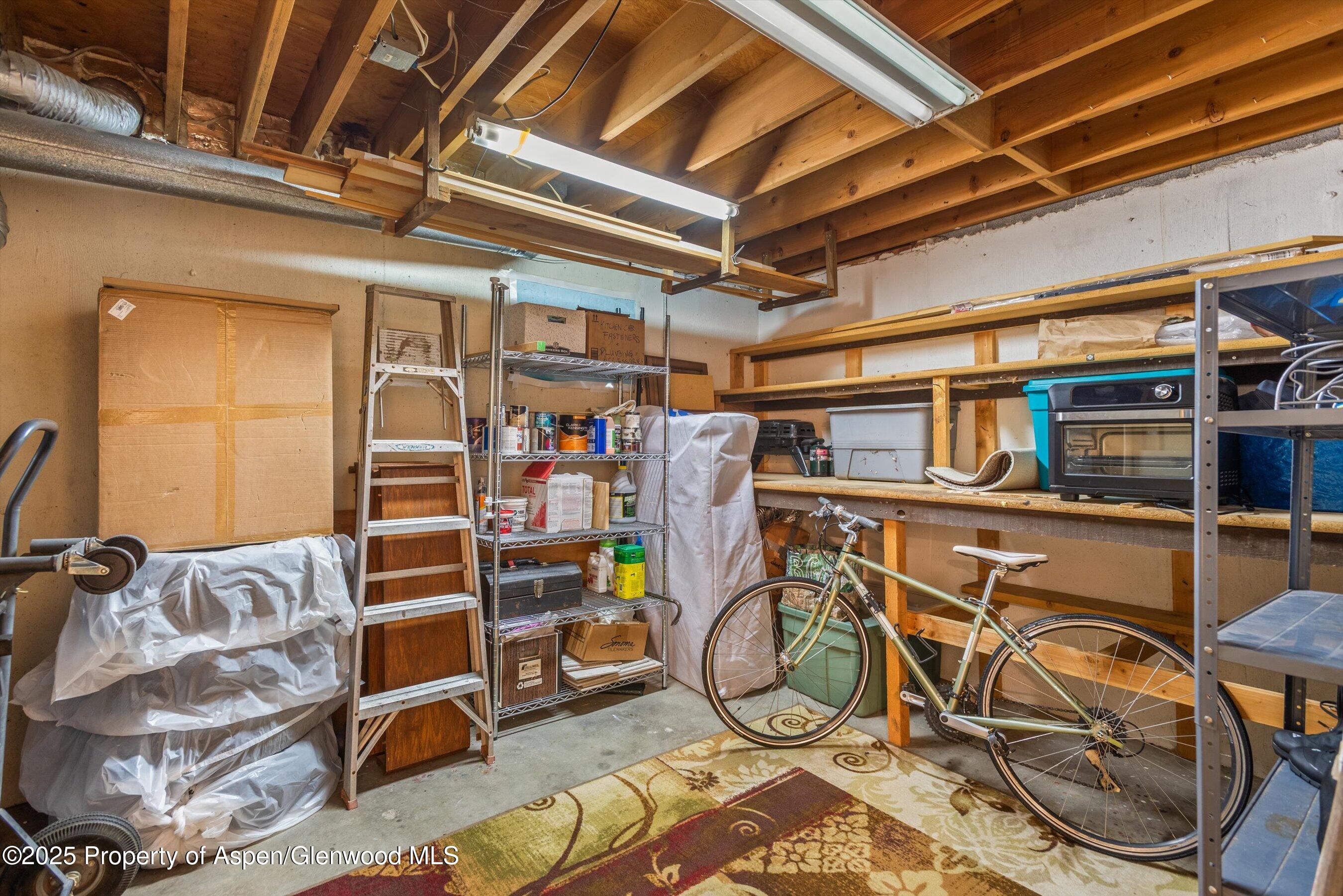 621 S 2nd Street Carbondale CO 81623