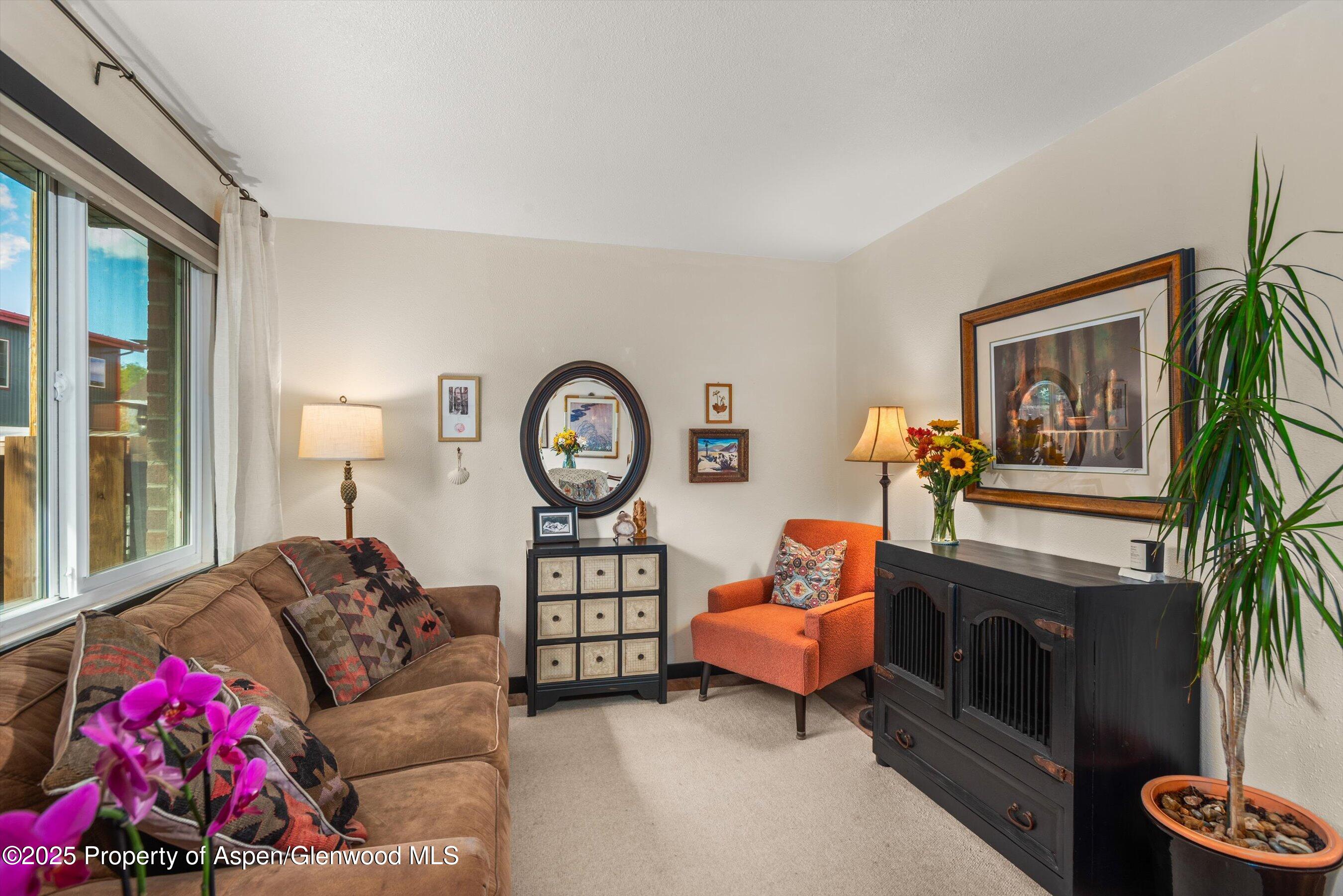 621 S 2nd Street Carbondale CO 81623