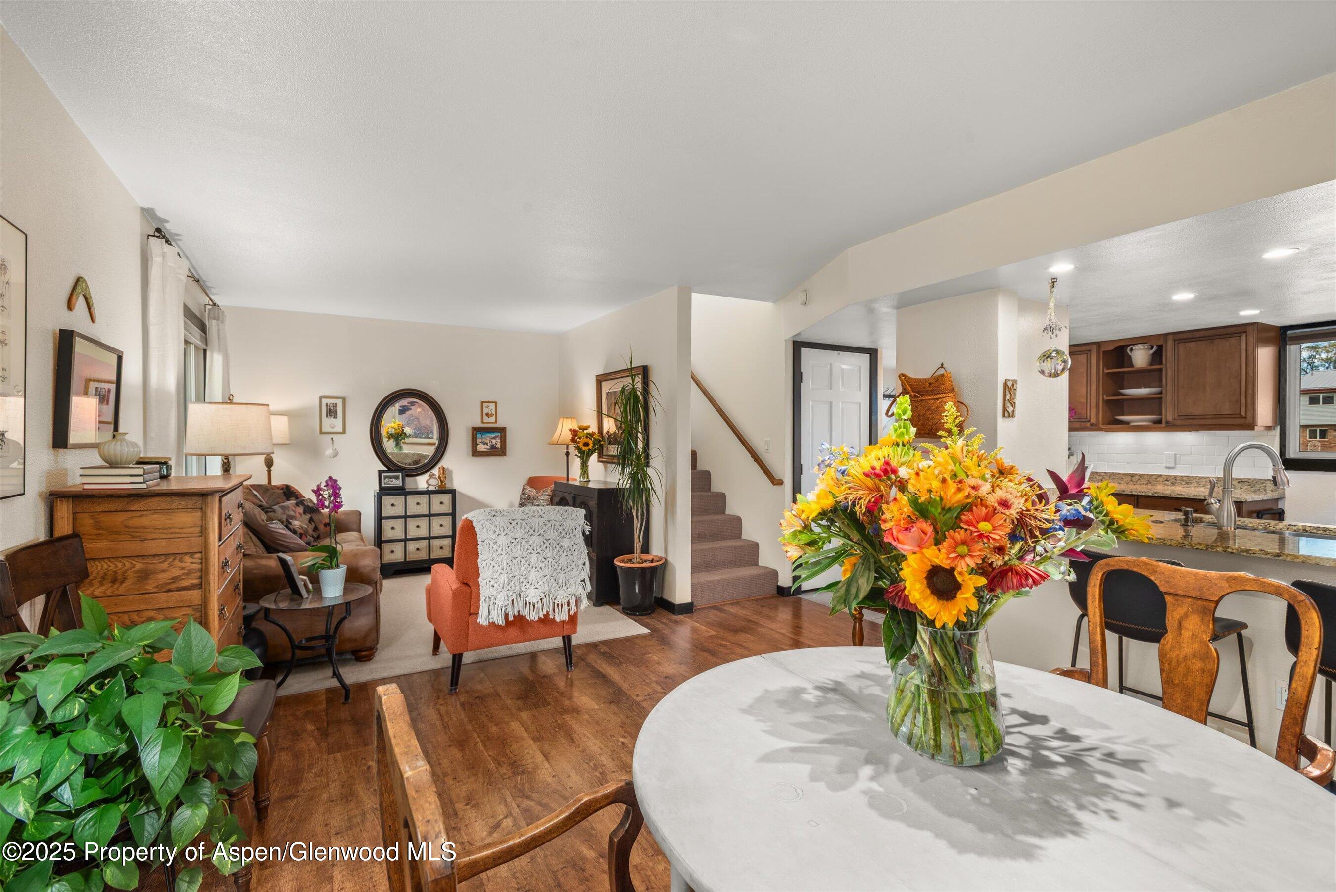 621 S 2nd Street Carbondale CO 81623