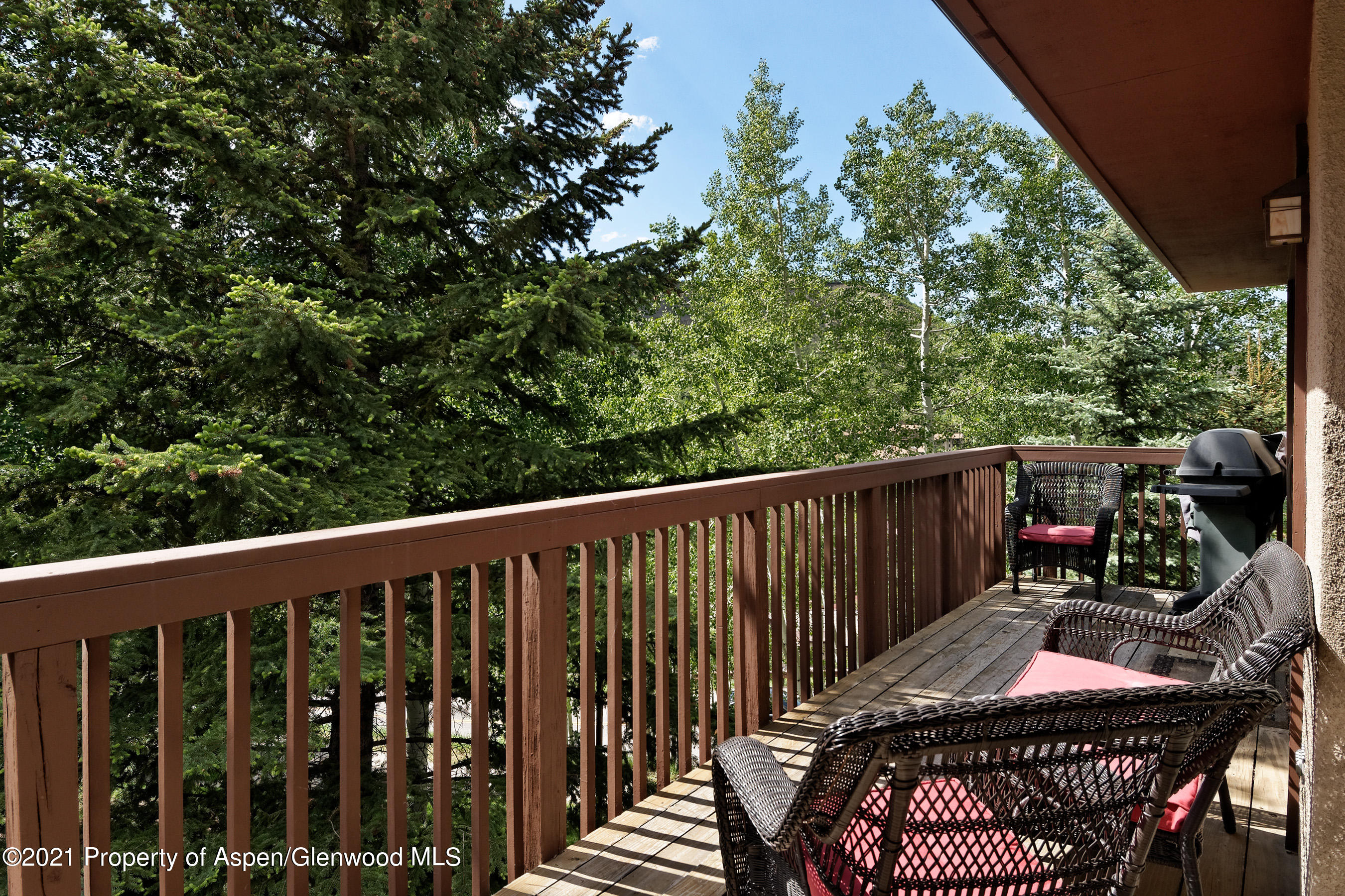 770 Ridge Road Snowmass Village CO 81615