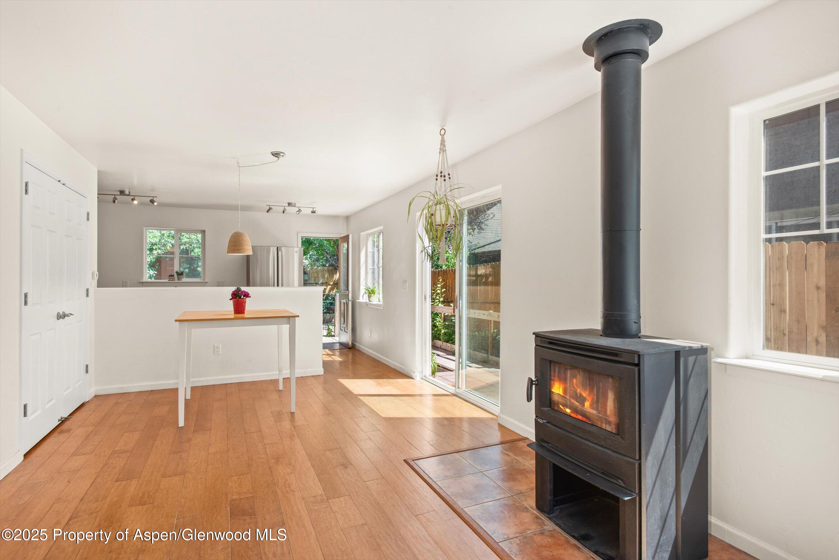 337 Cleveland Place Carbondale CO 81623