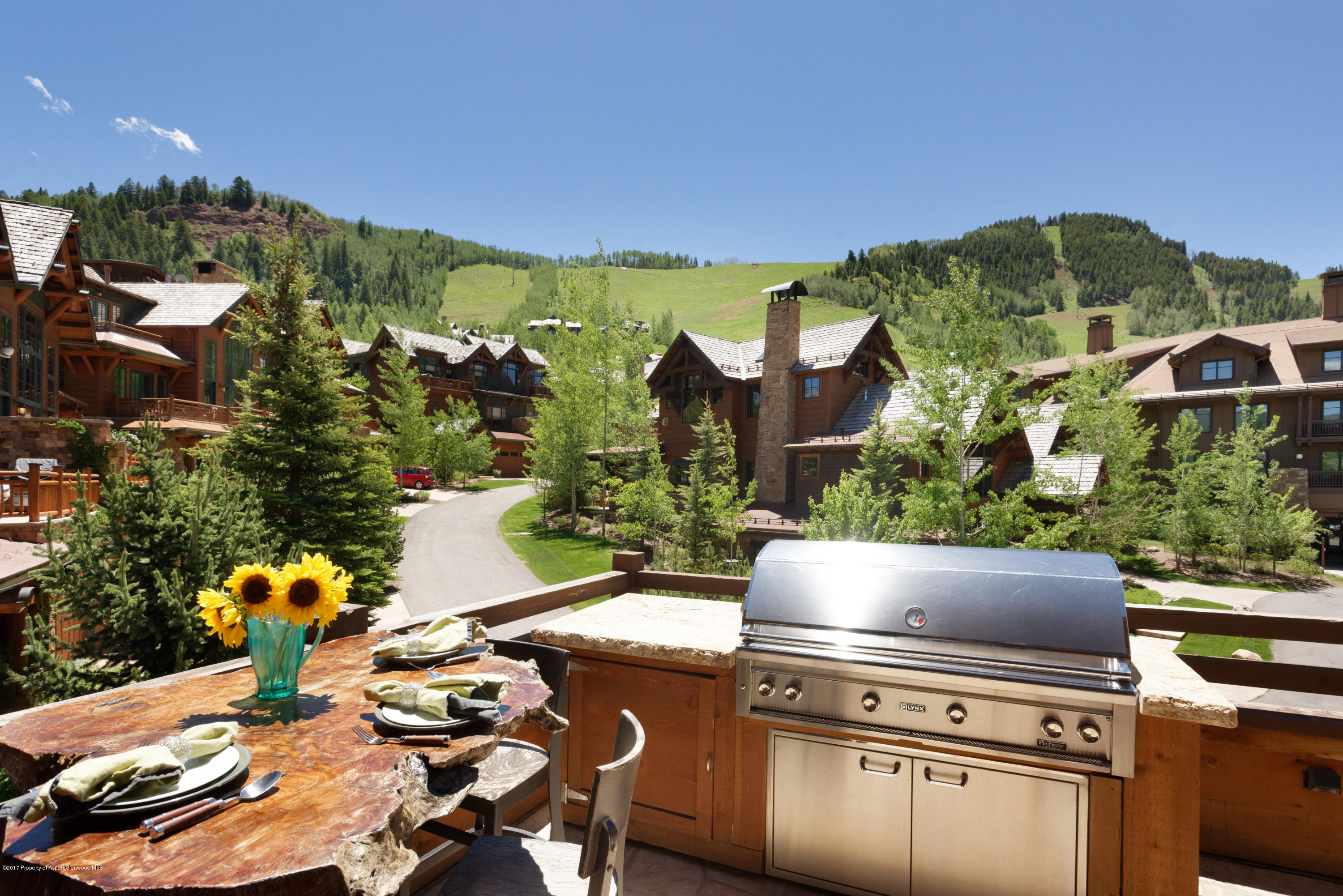 75 Thunderbowl Lane Aspen CO 81611