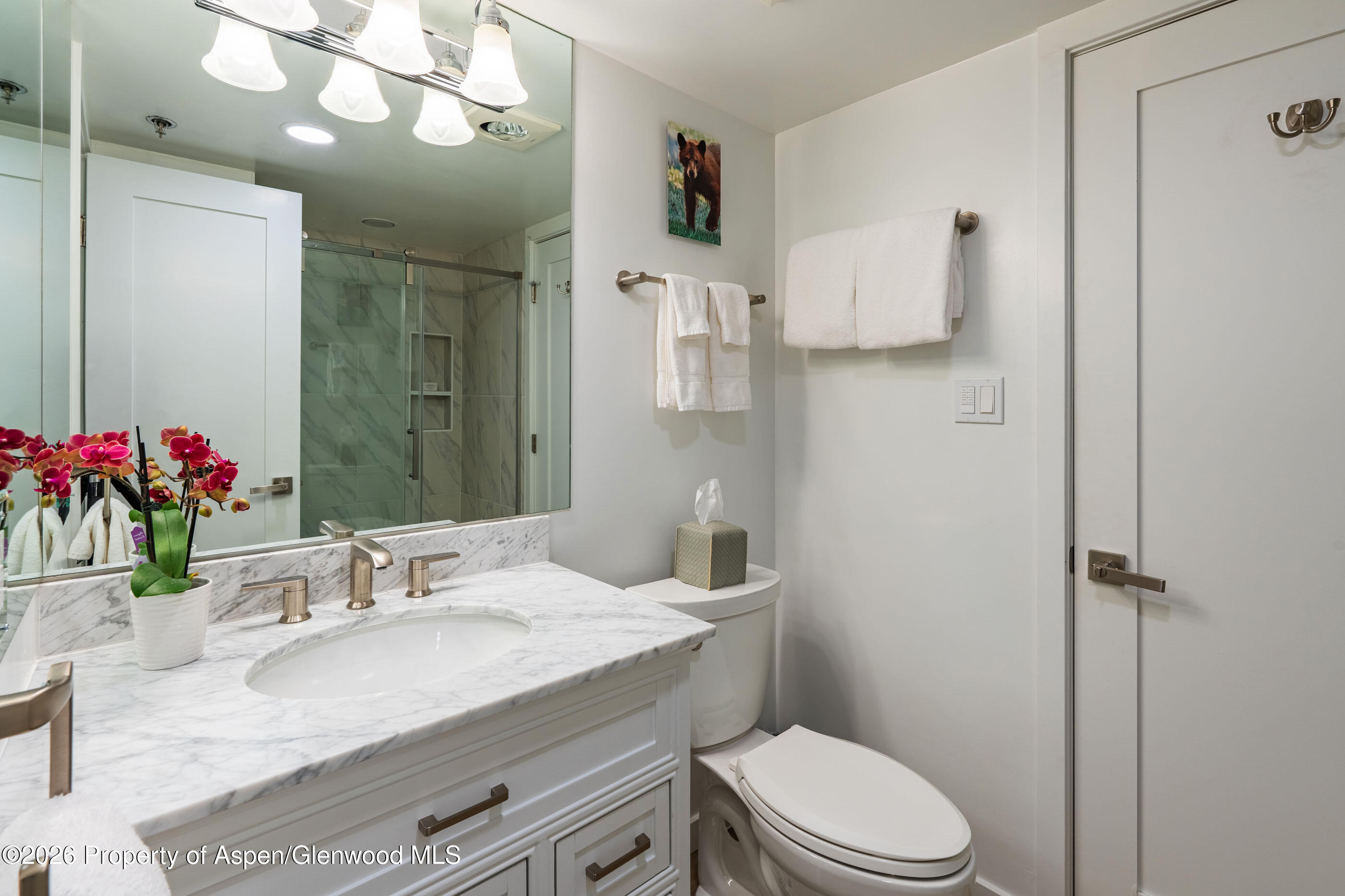 30 Anderson Lane Snowmass Village CO 81615