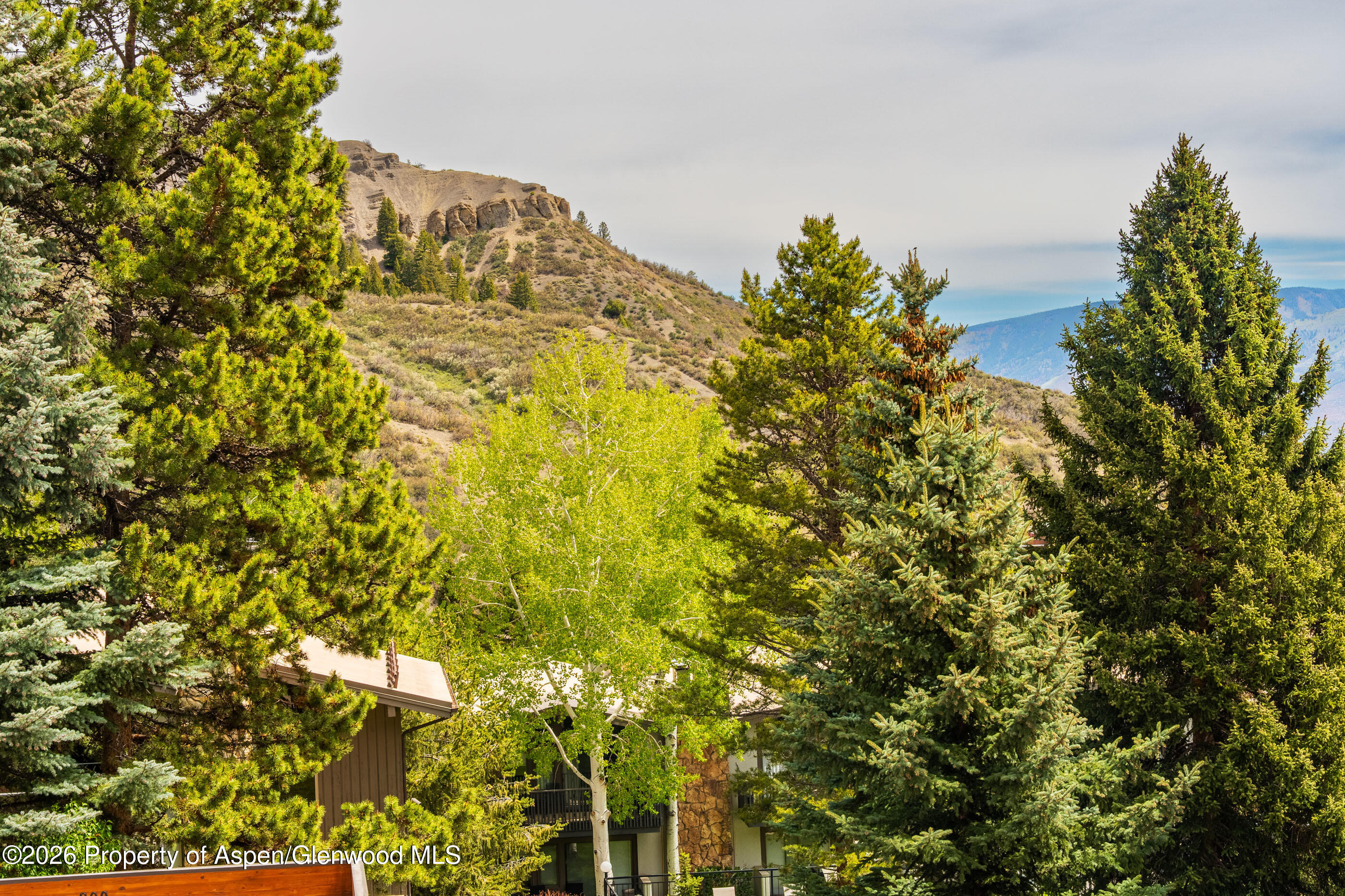 30 Anderson Lane Snowmass Village CO 81615