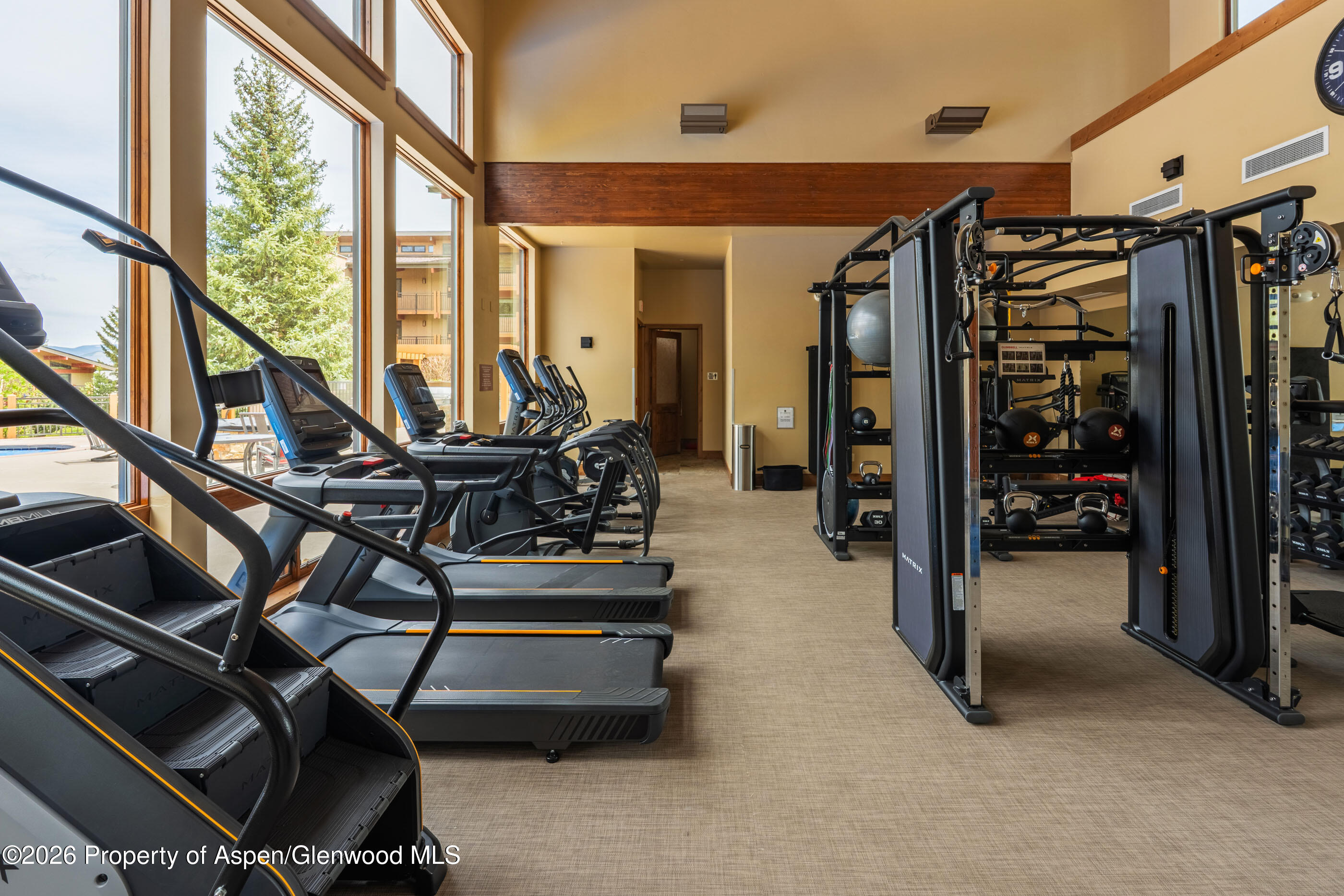 30 Anderson Lane Snowmass Village CO 81615