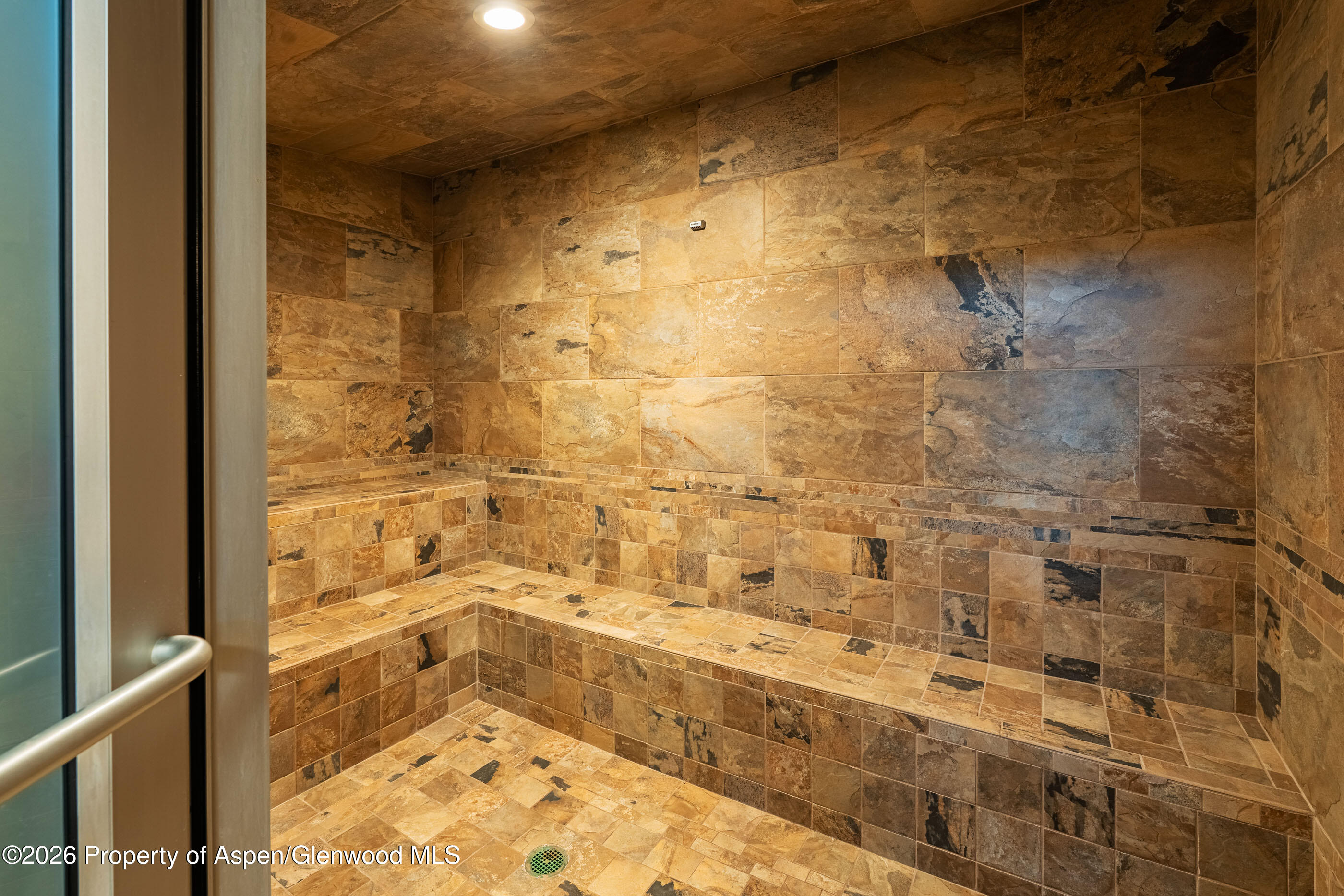 30 Anderson Lane Snowmass Village CO 81615