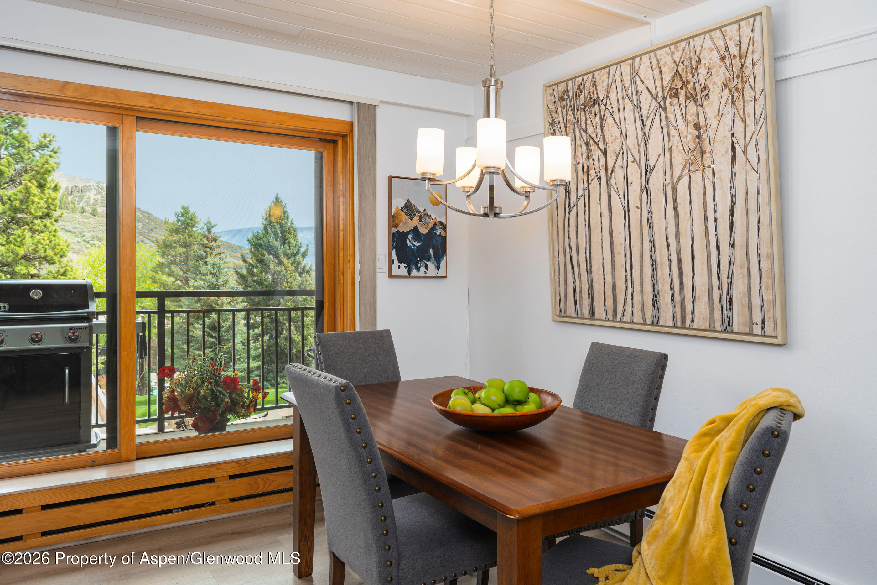 30 Anderson Lane Snowmass Village CO 81615