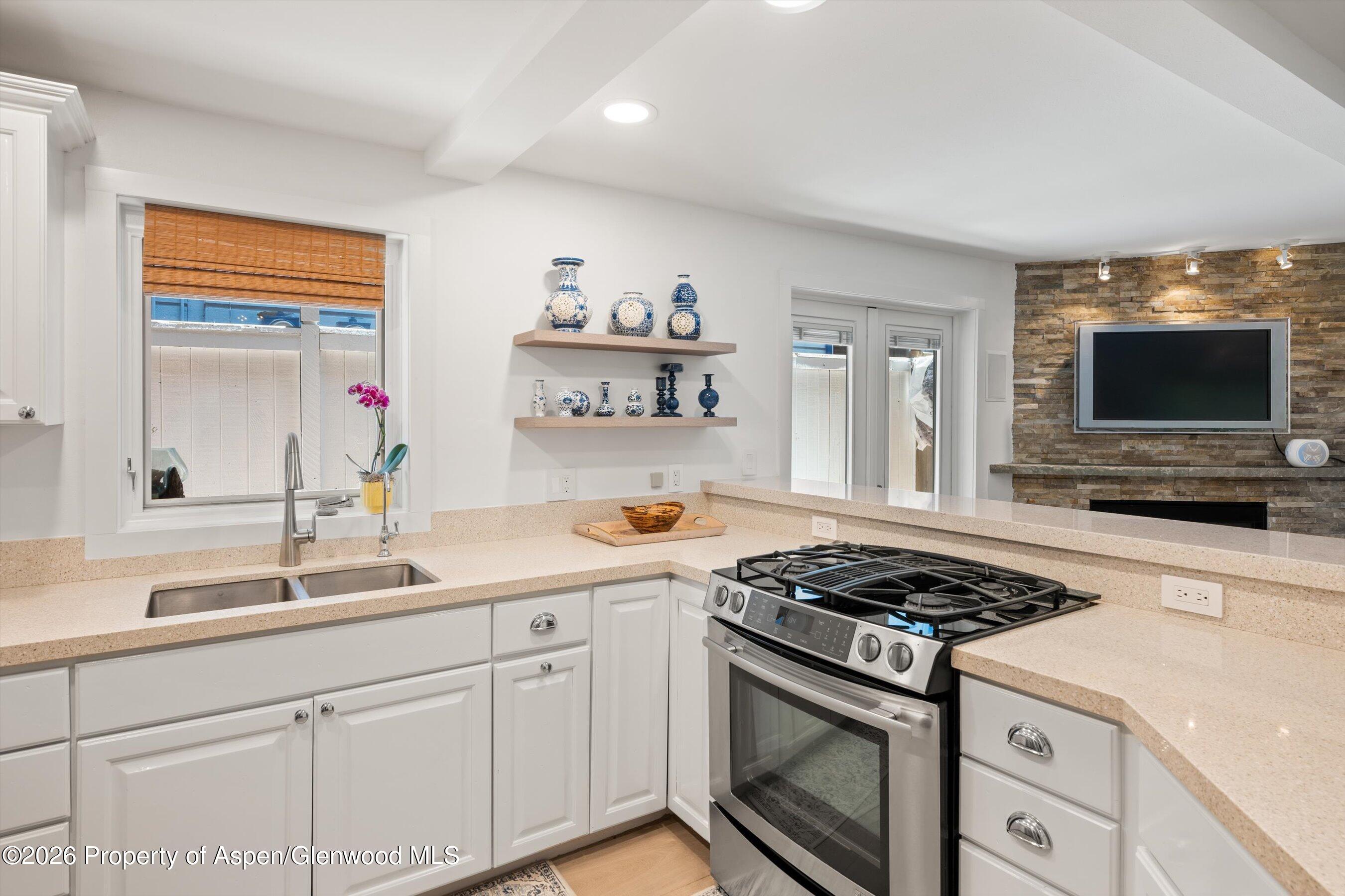 960 E Durant Avenue Aspen CO 81611
