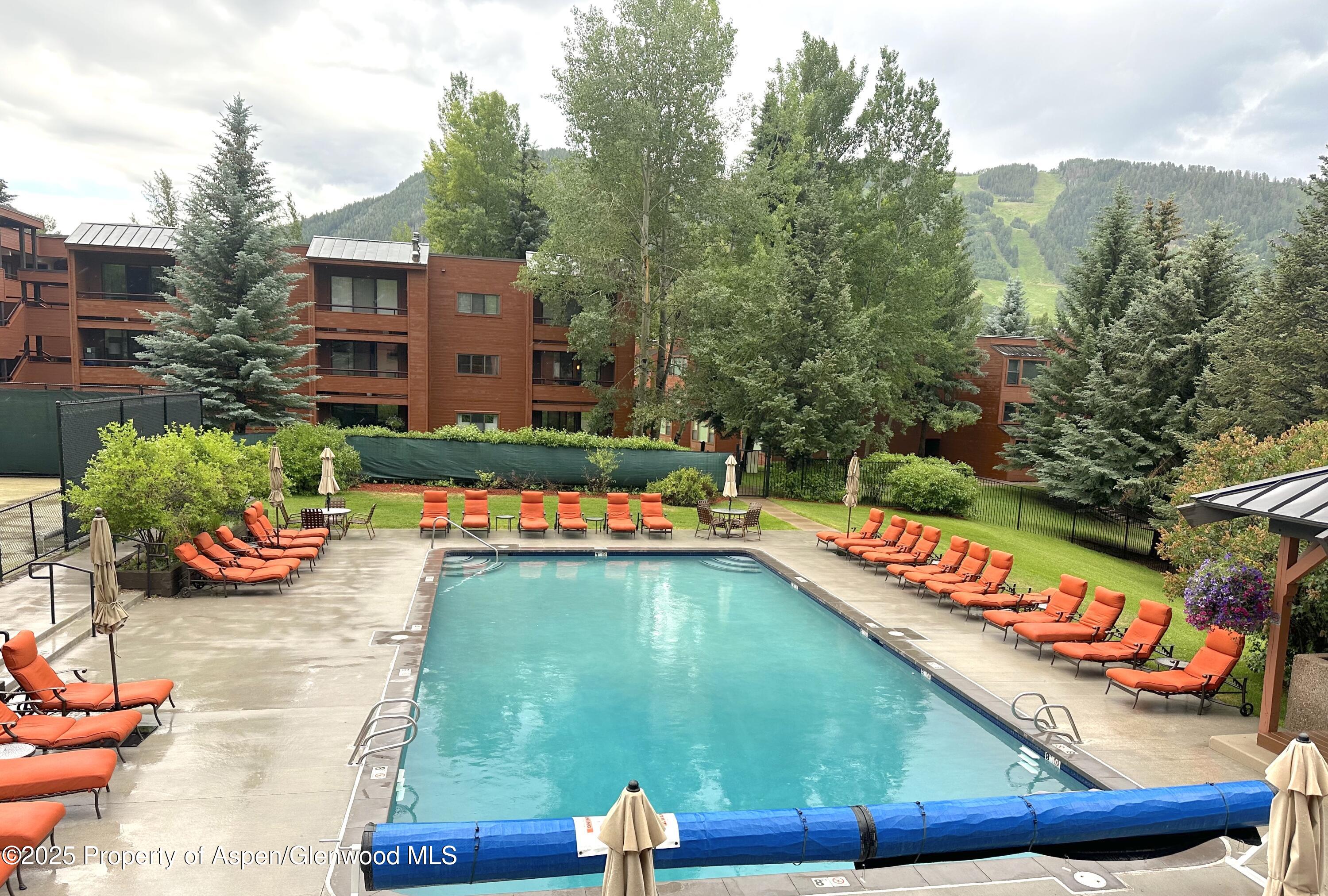 1136 Vine Street Aspen CO 81611