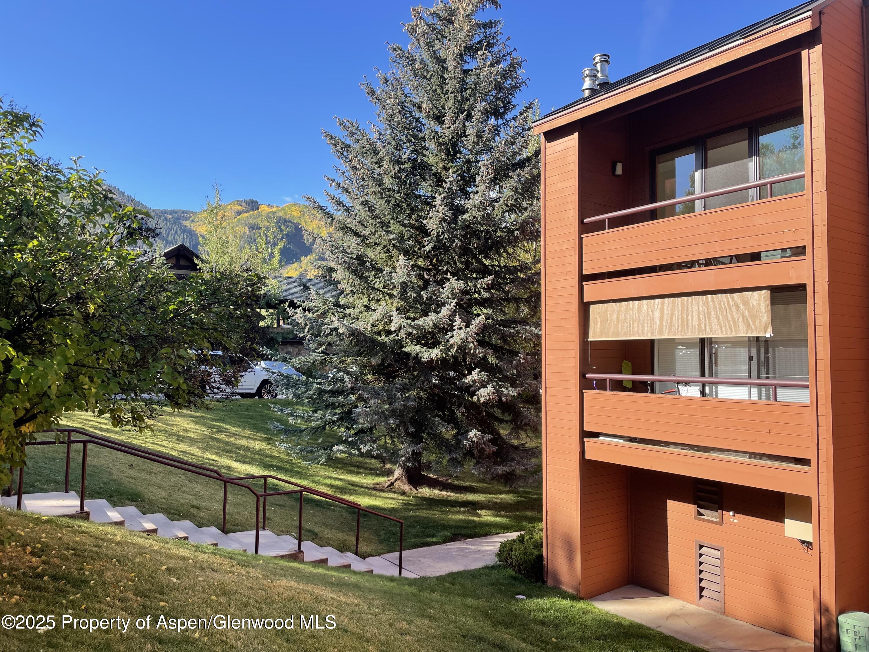 1136 Vine Street Aspen CO 81611