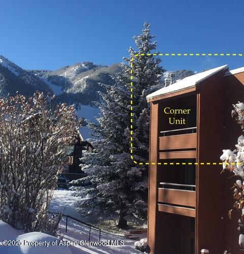 1136 Vine Street Aspen CO 81611