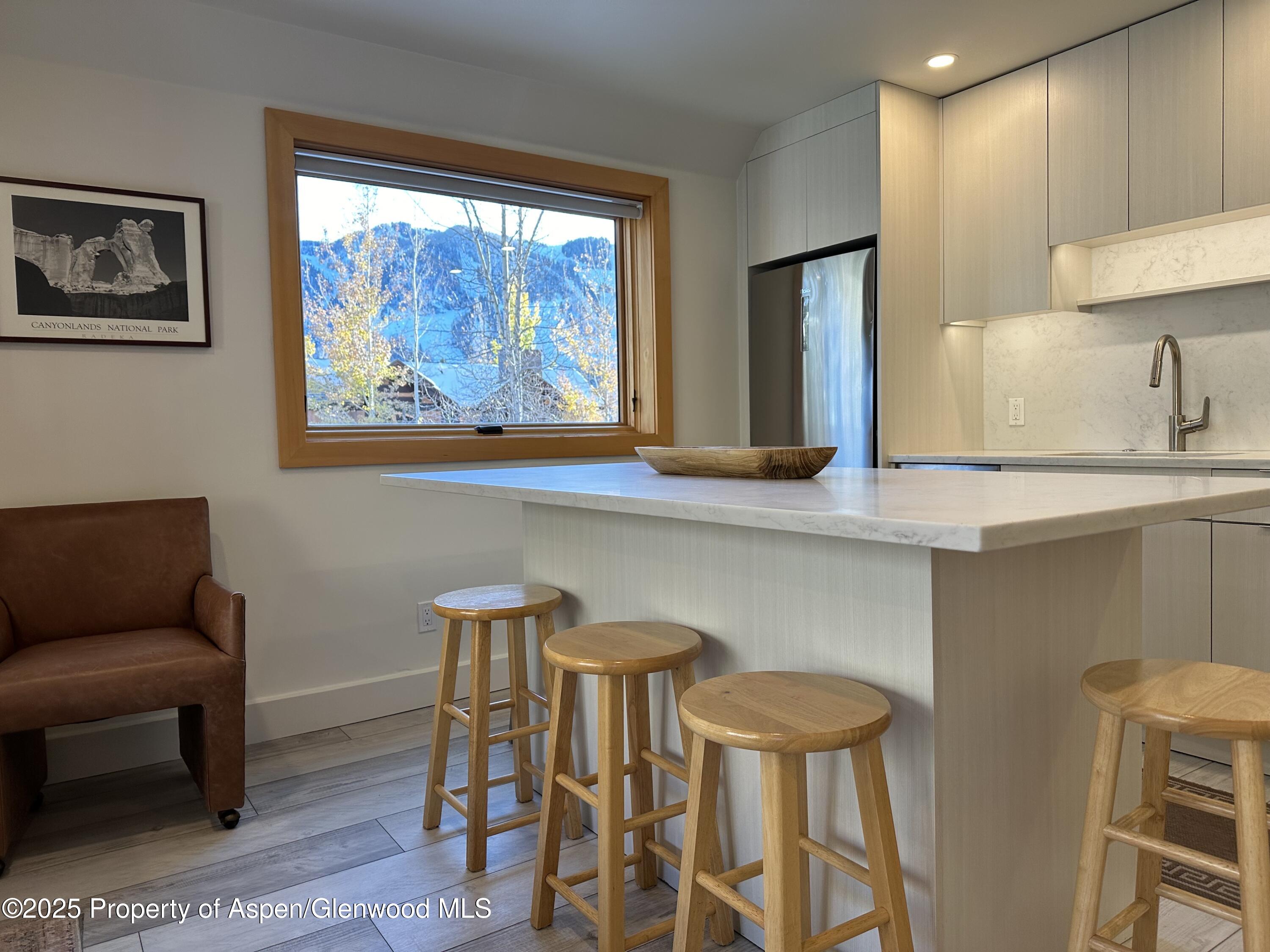 1136 Vine Street Aspen CO 81611