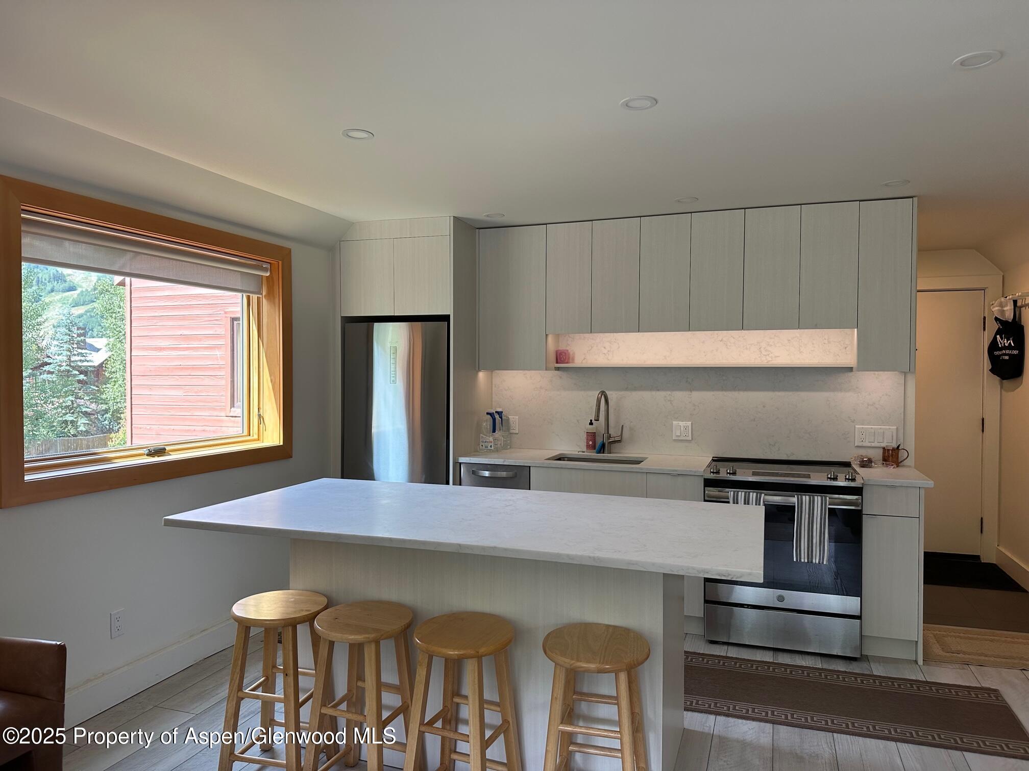 1136 Vine Street Aspen CO 81611