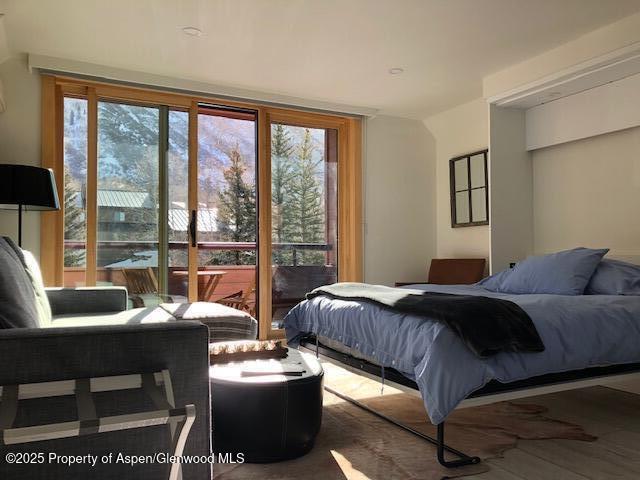 1136 Vine Street Aspen CO 81611