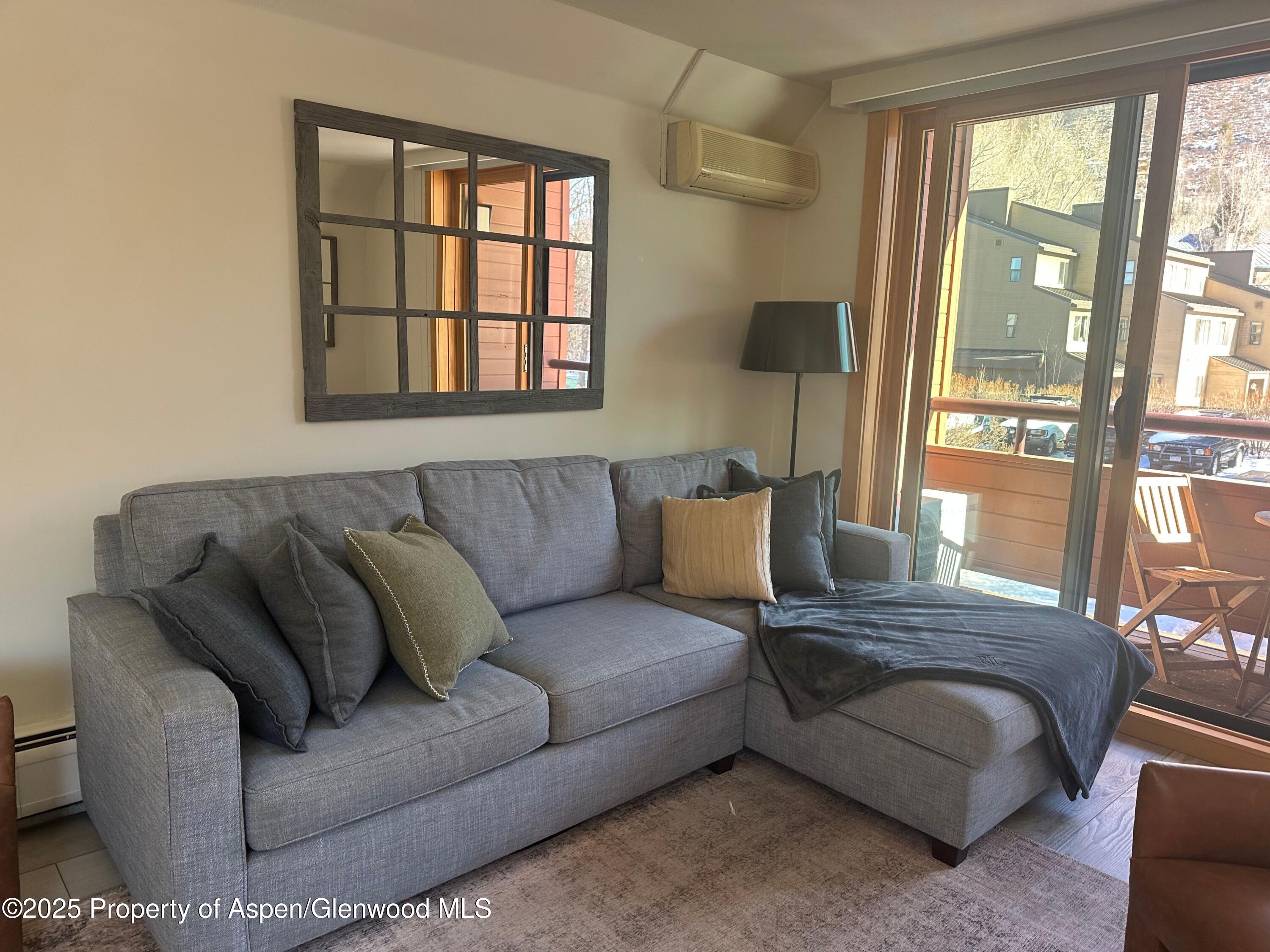 1136 Vine Street Aspen CO 81611