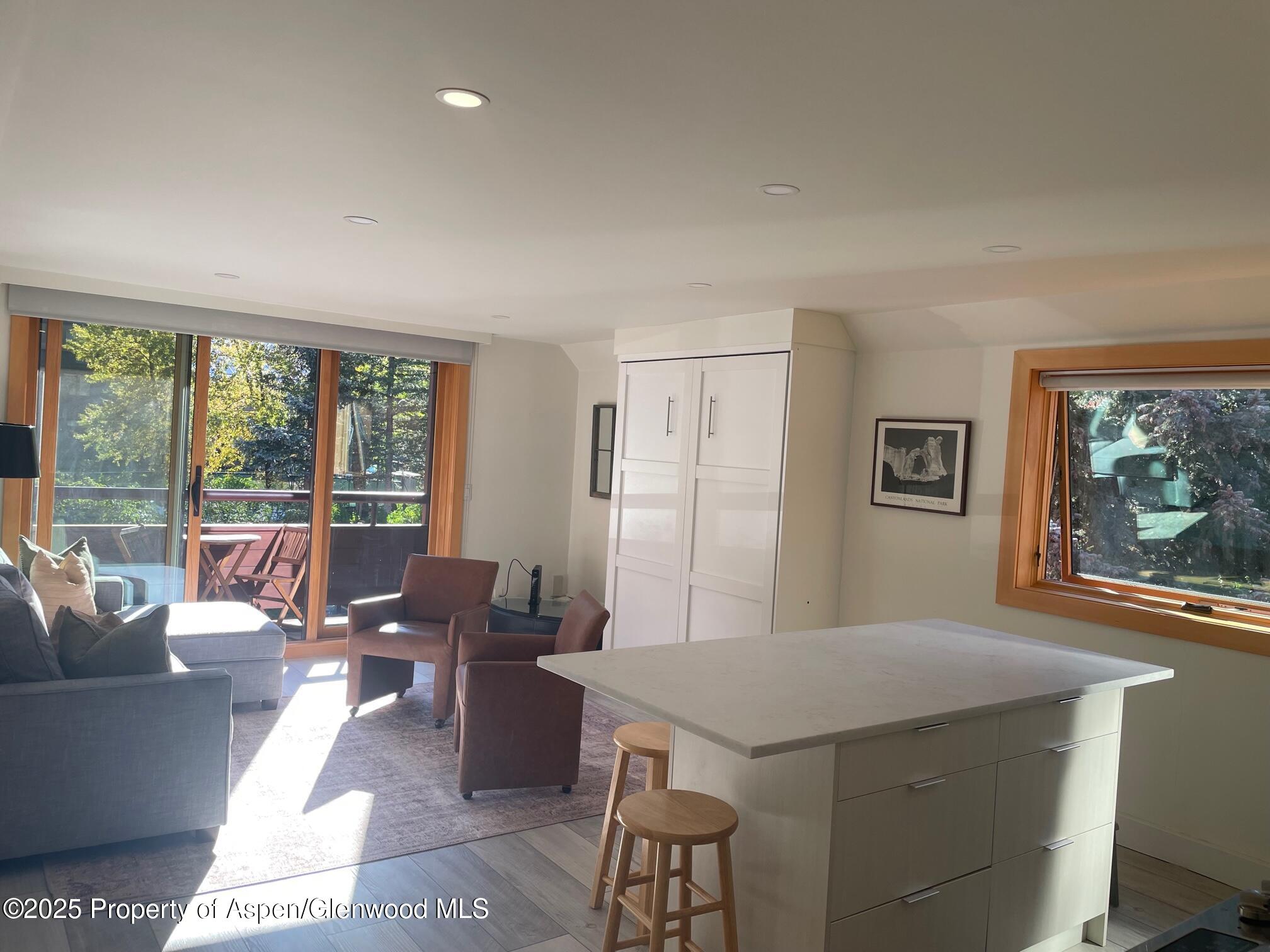 1136 Vine Street Aspen CO 81611