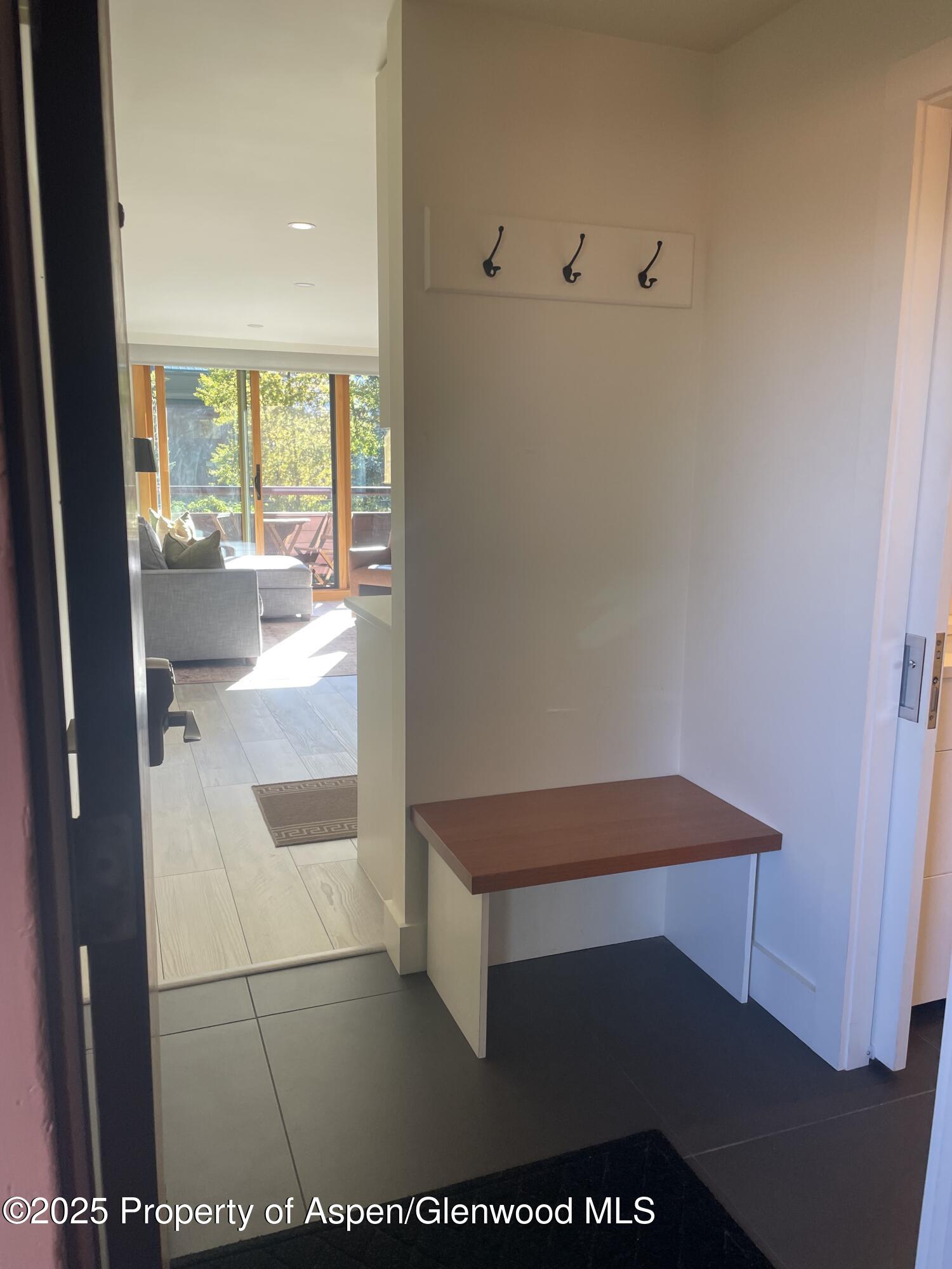 1136 Vine Street Aspen CO 81611