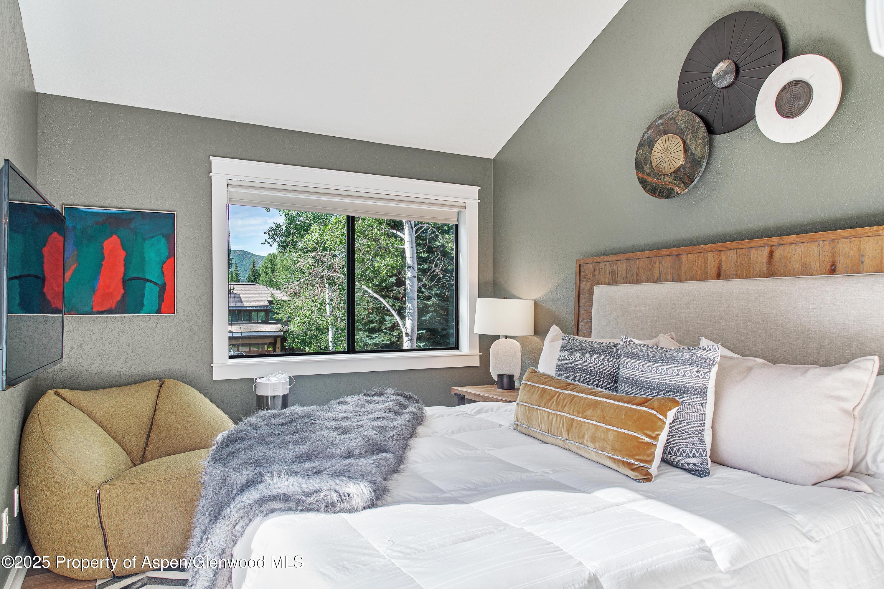 52 Harleston Green Snowmass Village CO 81615