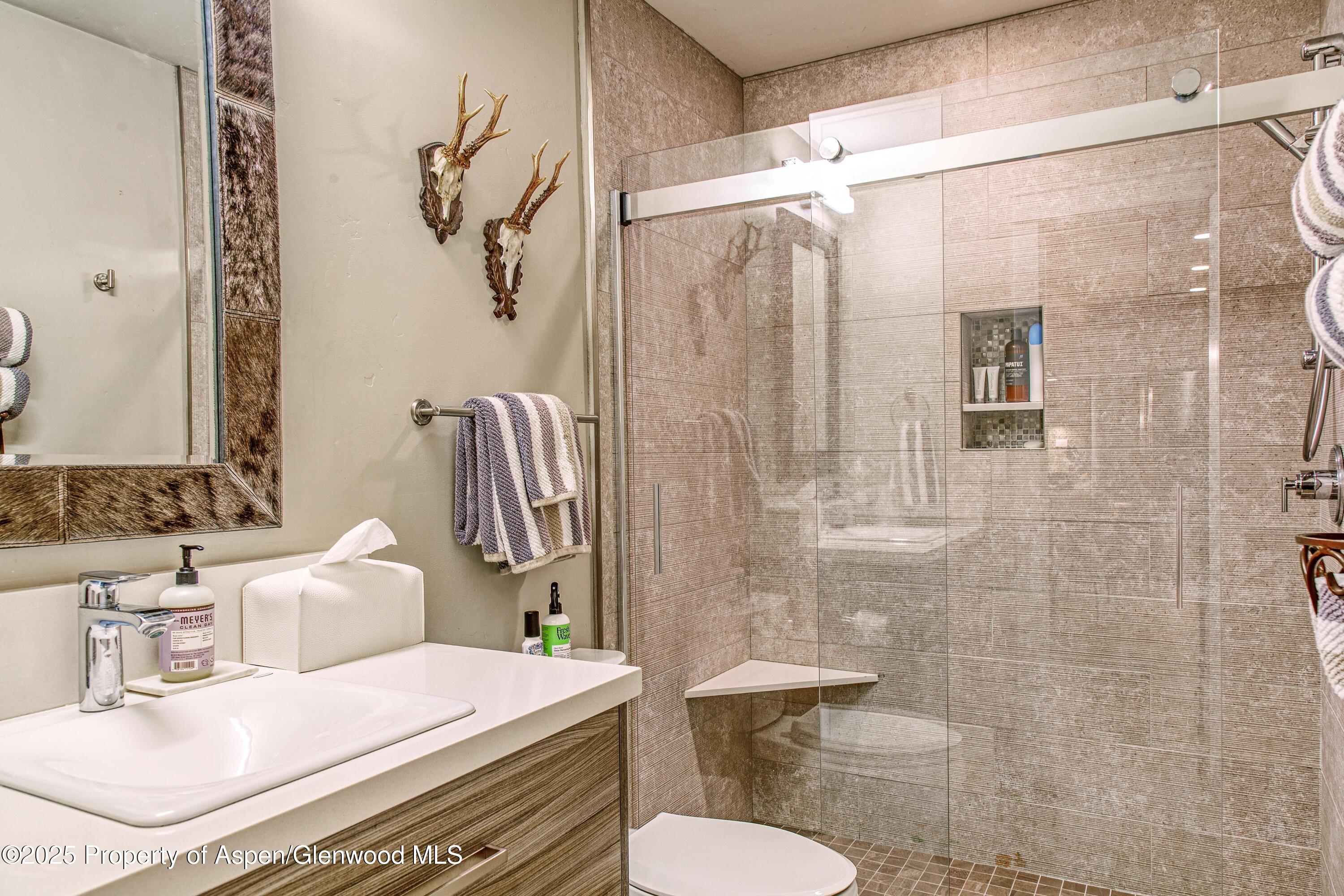 52 Harleston Green Snowmass Village CO 81615