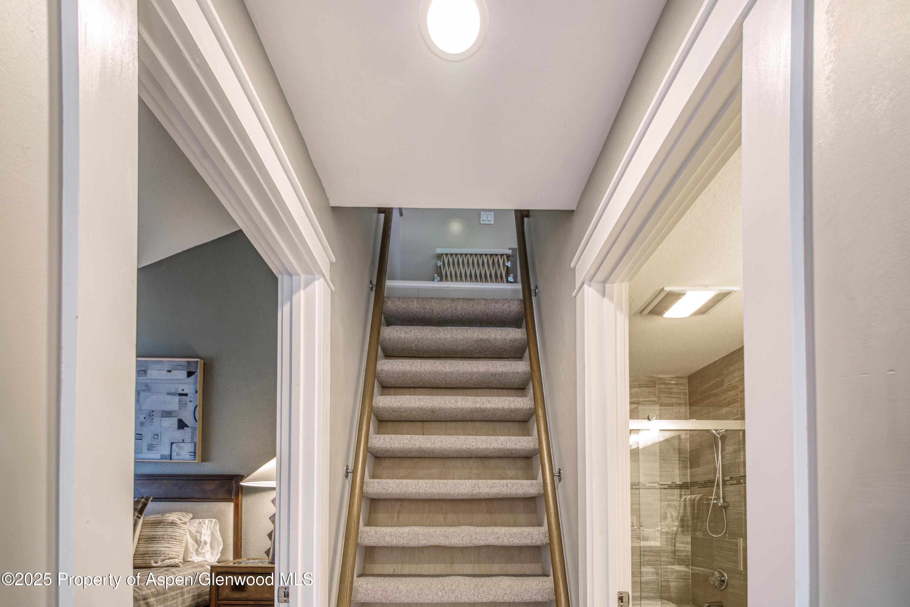 52 Harleston Green Snowmass Village CO 81615