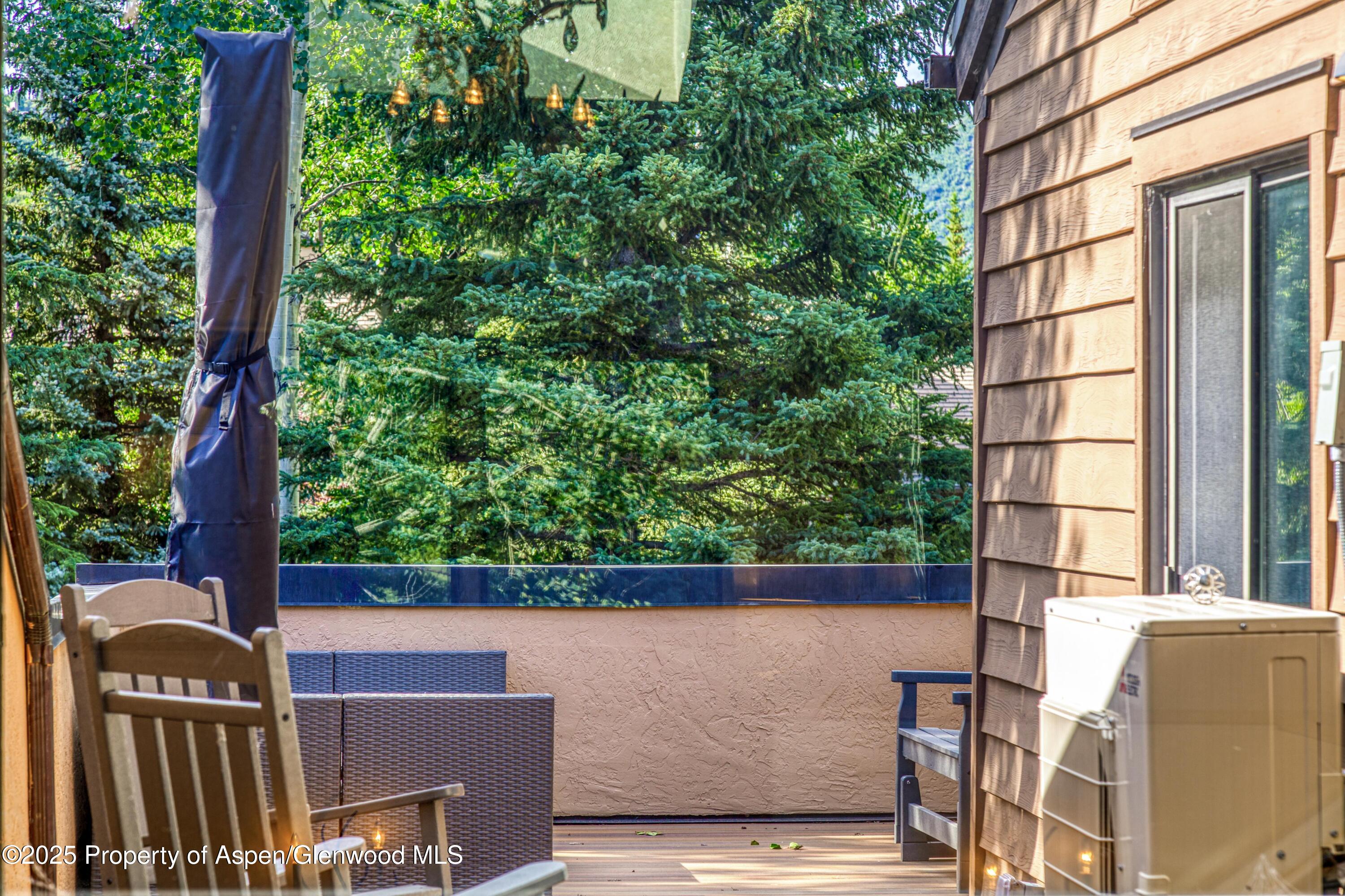 52 Harleston Green Snowmass Village CO 81615