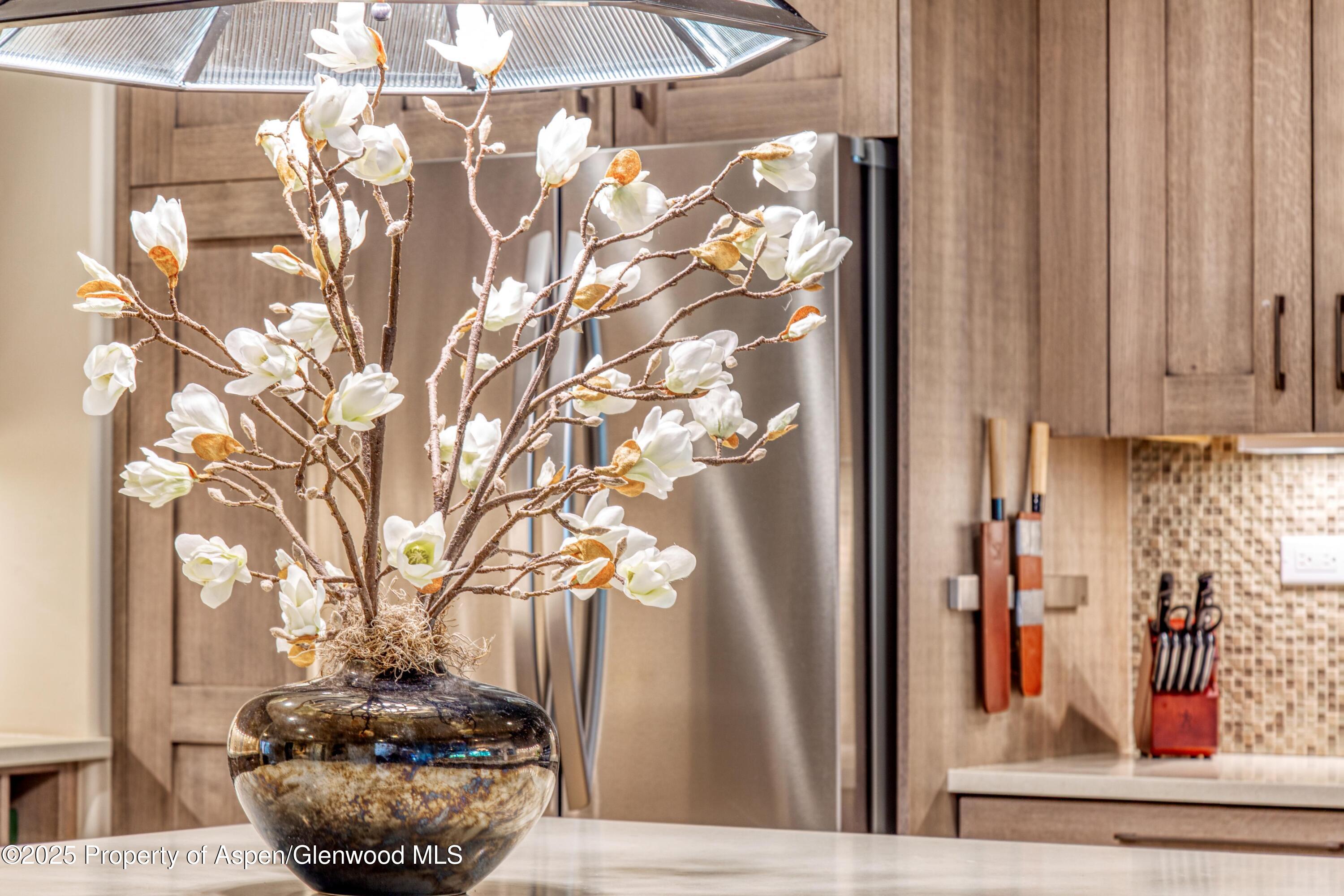 52 Harleston Green Snowmass Village CO 81615