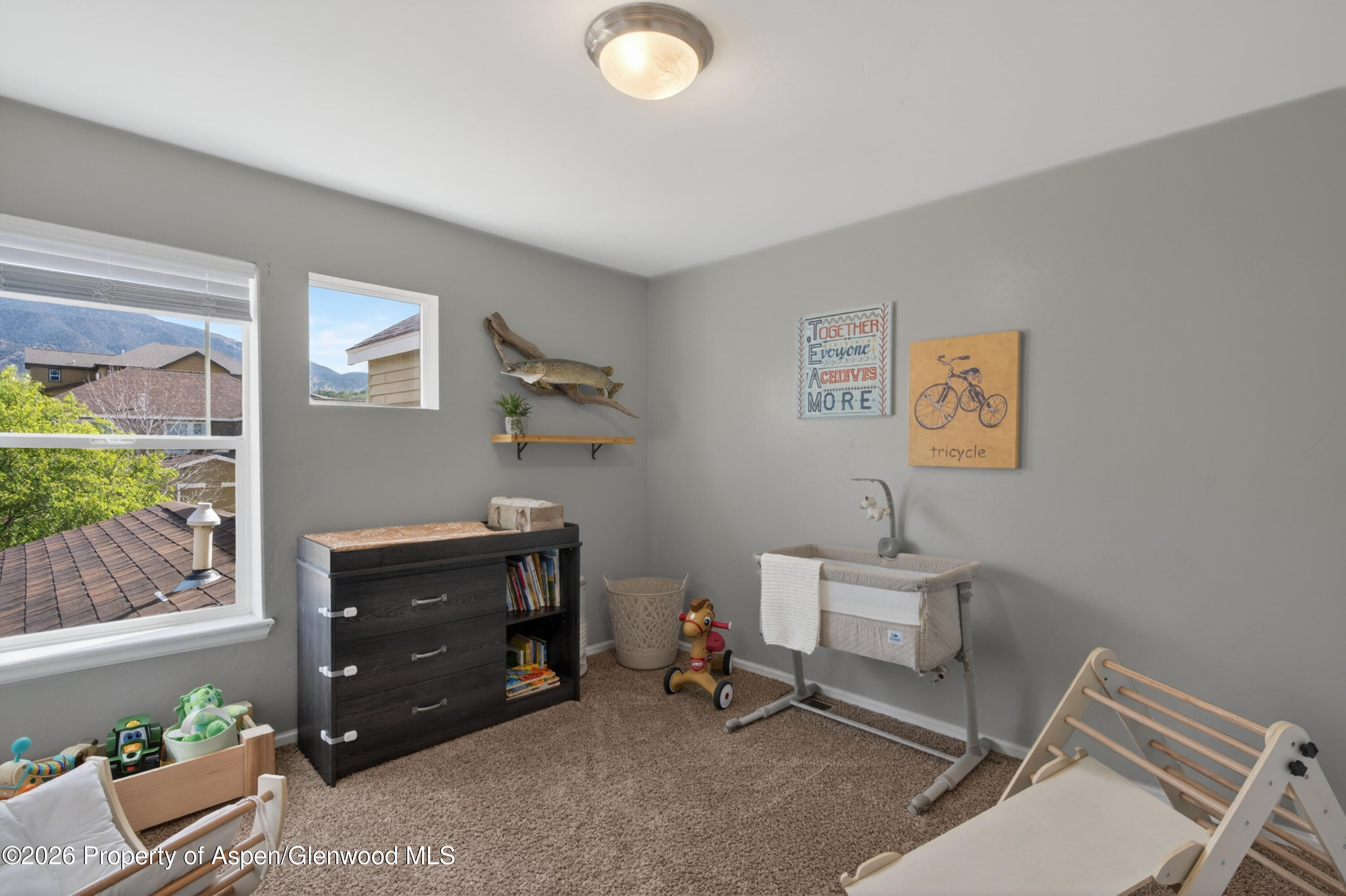 247 E Capital Court New Castle CO 81647