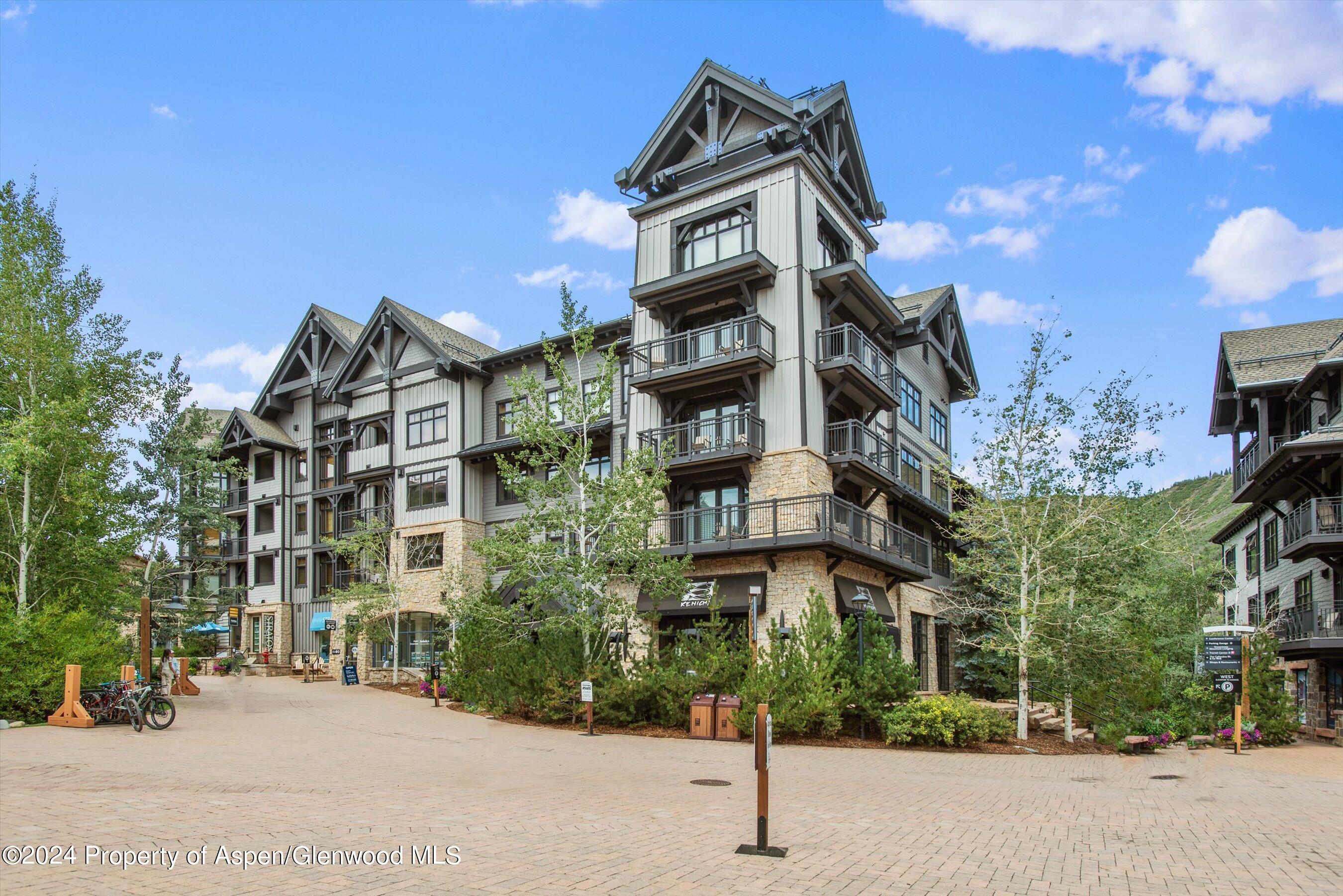 110 Carriage Way Snowmass Village CO 81615