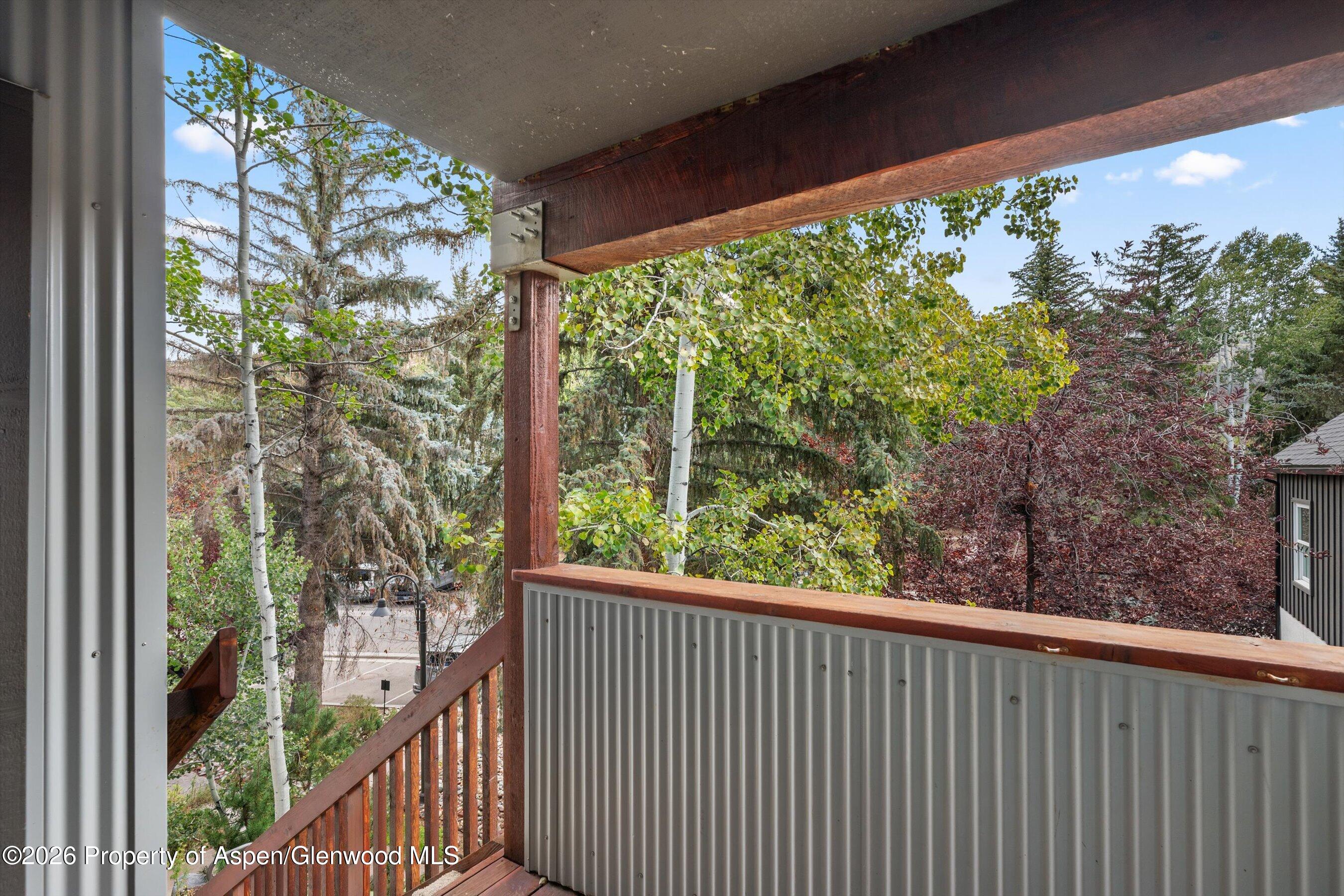 414 Pacific Avenue Aspen CO 81611