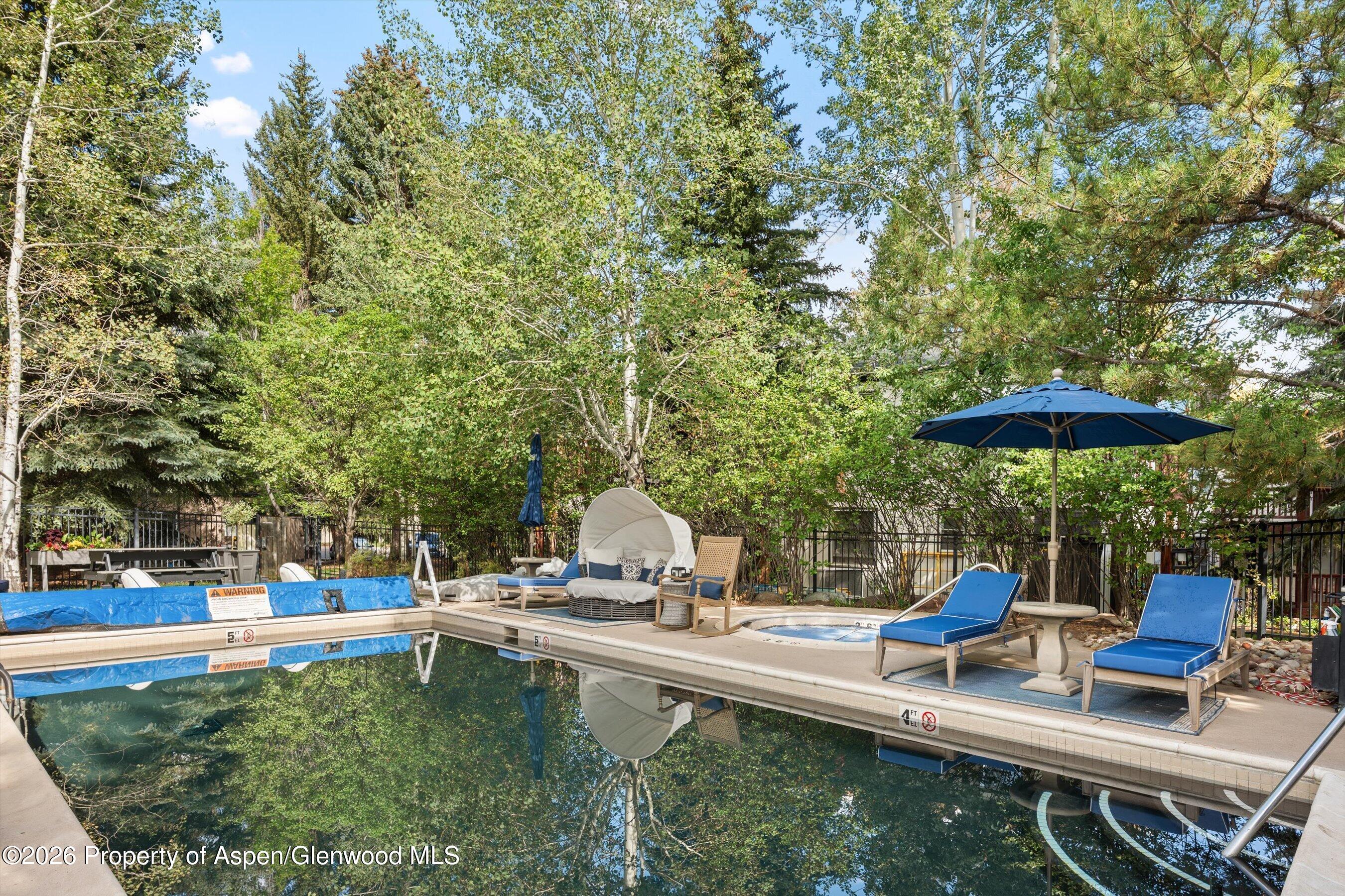 414 Pacific Avenue Aspen CO 81611