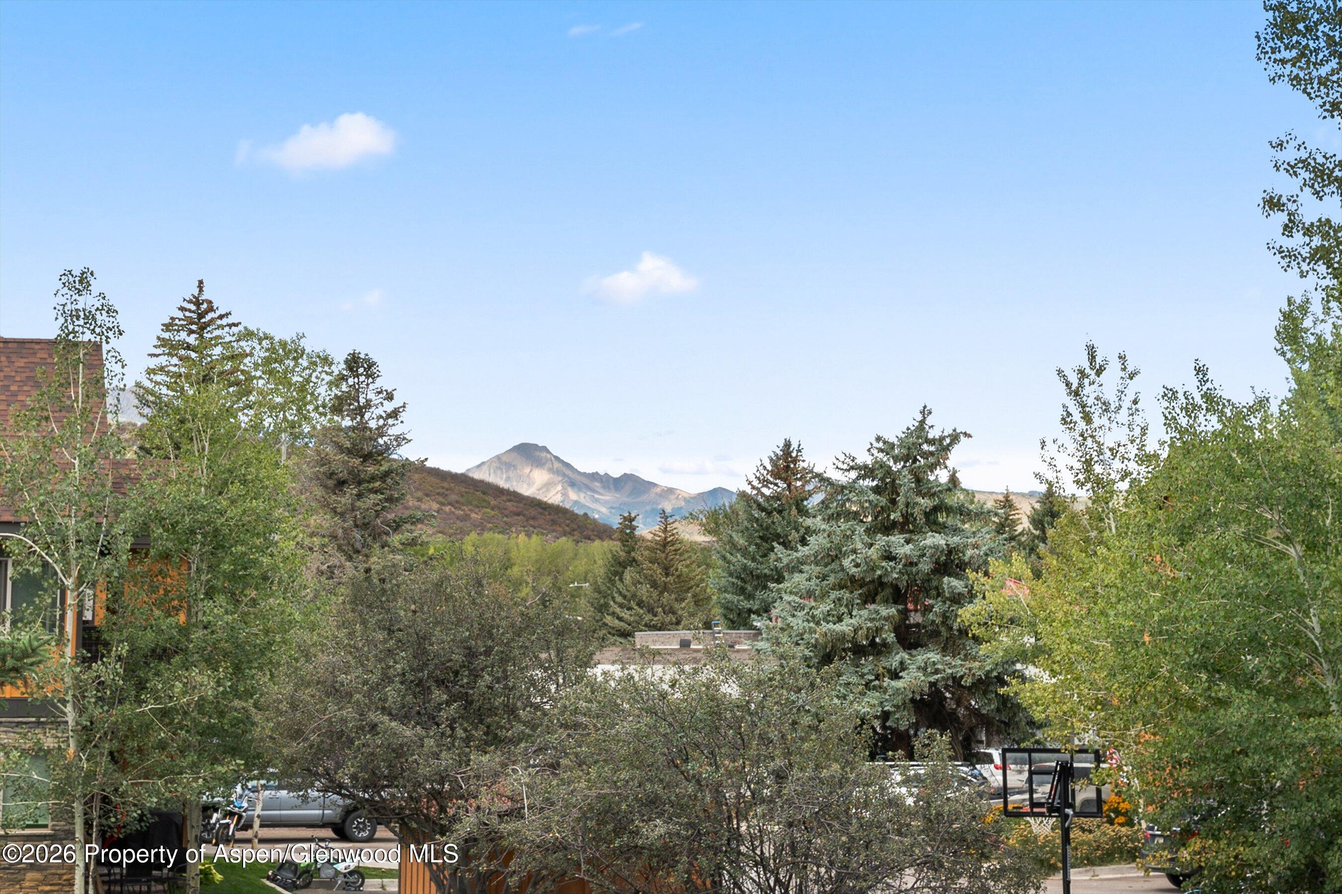 414 Pacific Avenue Aspen CO 81611