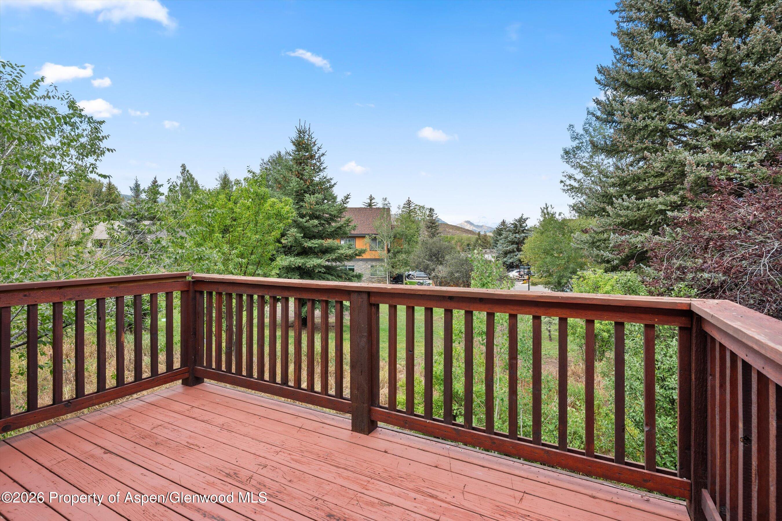 414 Pacific Avenue Aspen CO 81611