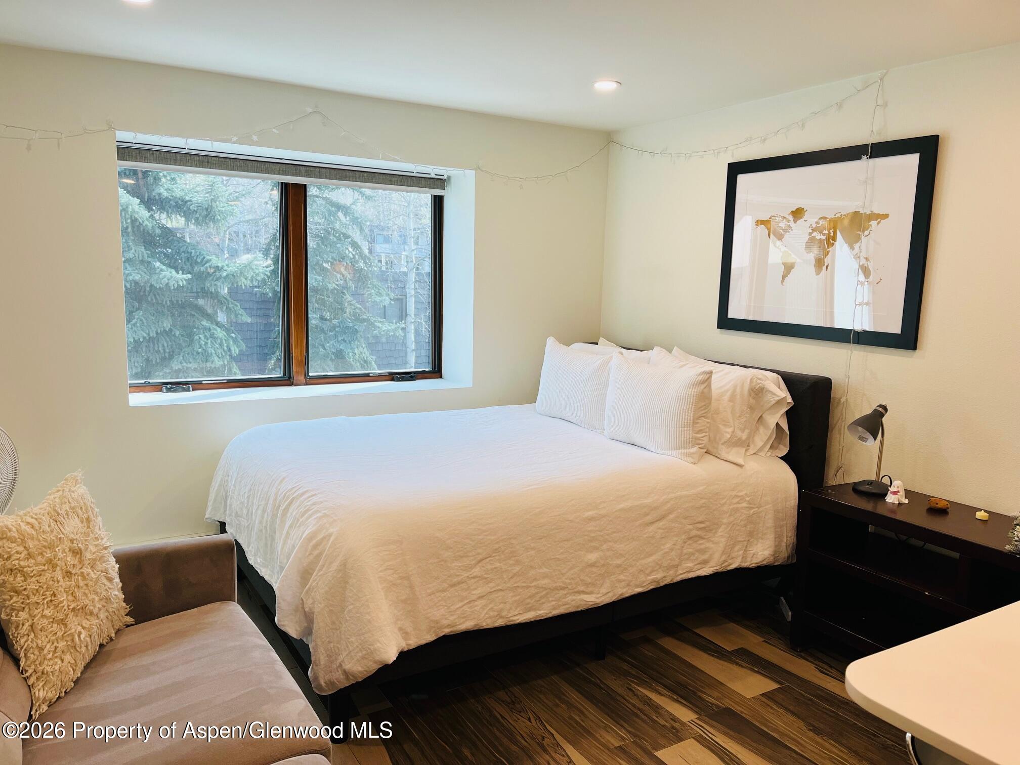 119 E Cooper Avenue Aspen CO 81611