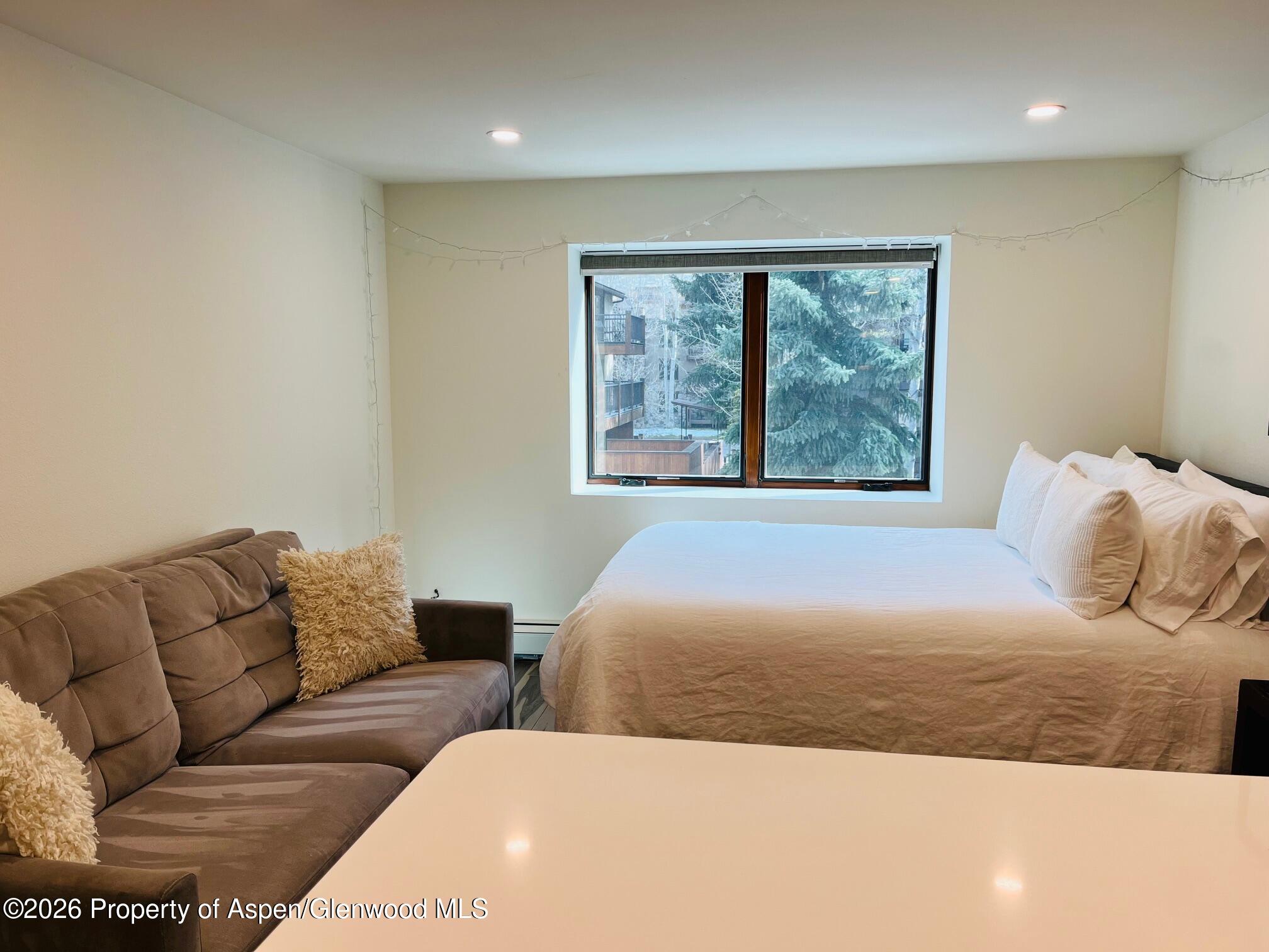 119 E Cooper Avenue Aspen CO 81611
