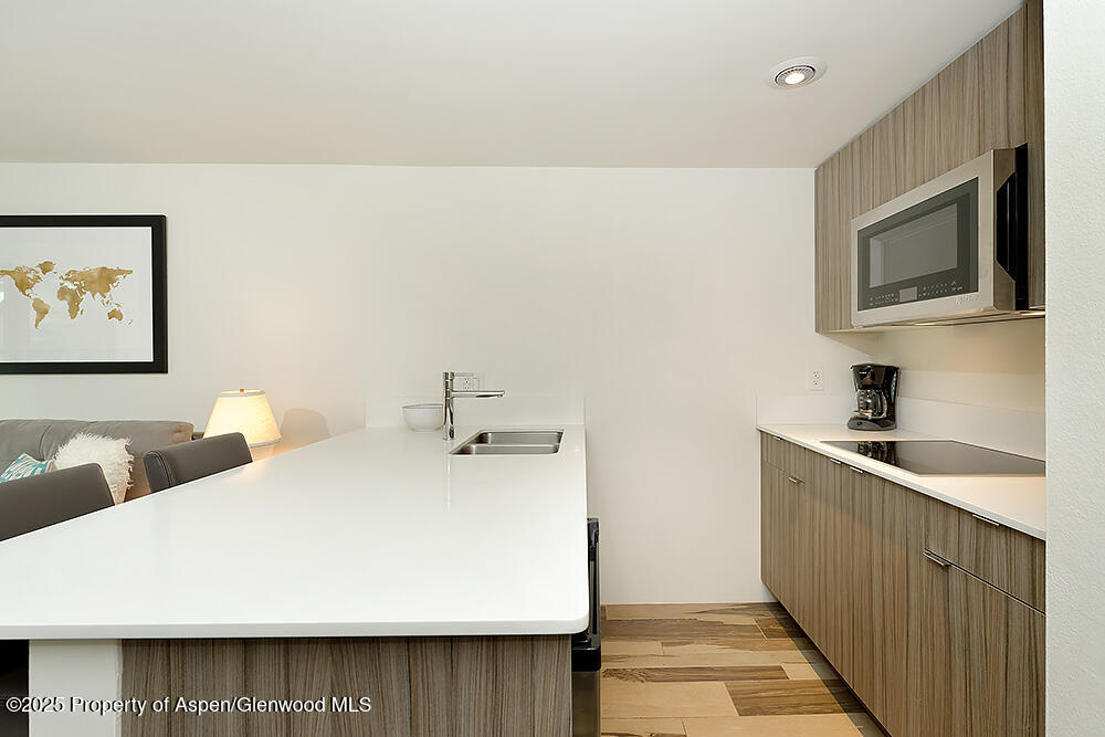 119 E Cooper Avenue Aspen CO 81611