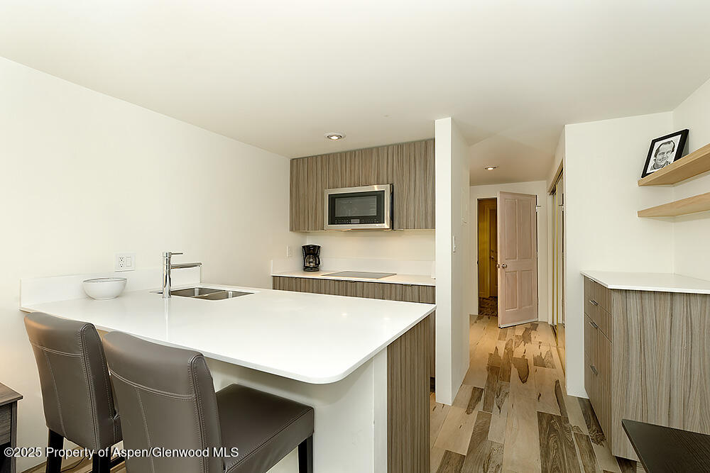 119 E Cooper Avenue Aspen CO 81611